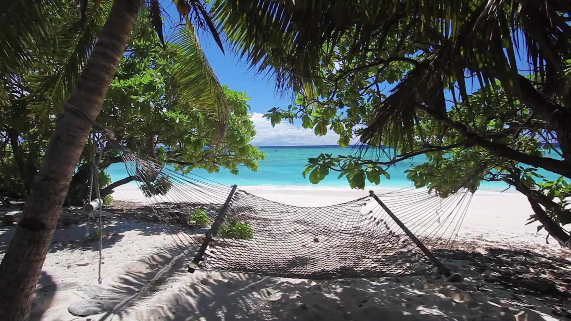 A hammock hangs between two wooden posts, casting a shadow on the white sand. Beyond, the turquoise water of the ocean shimmers under a bright blue sky.
