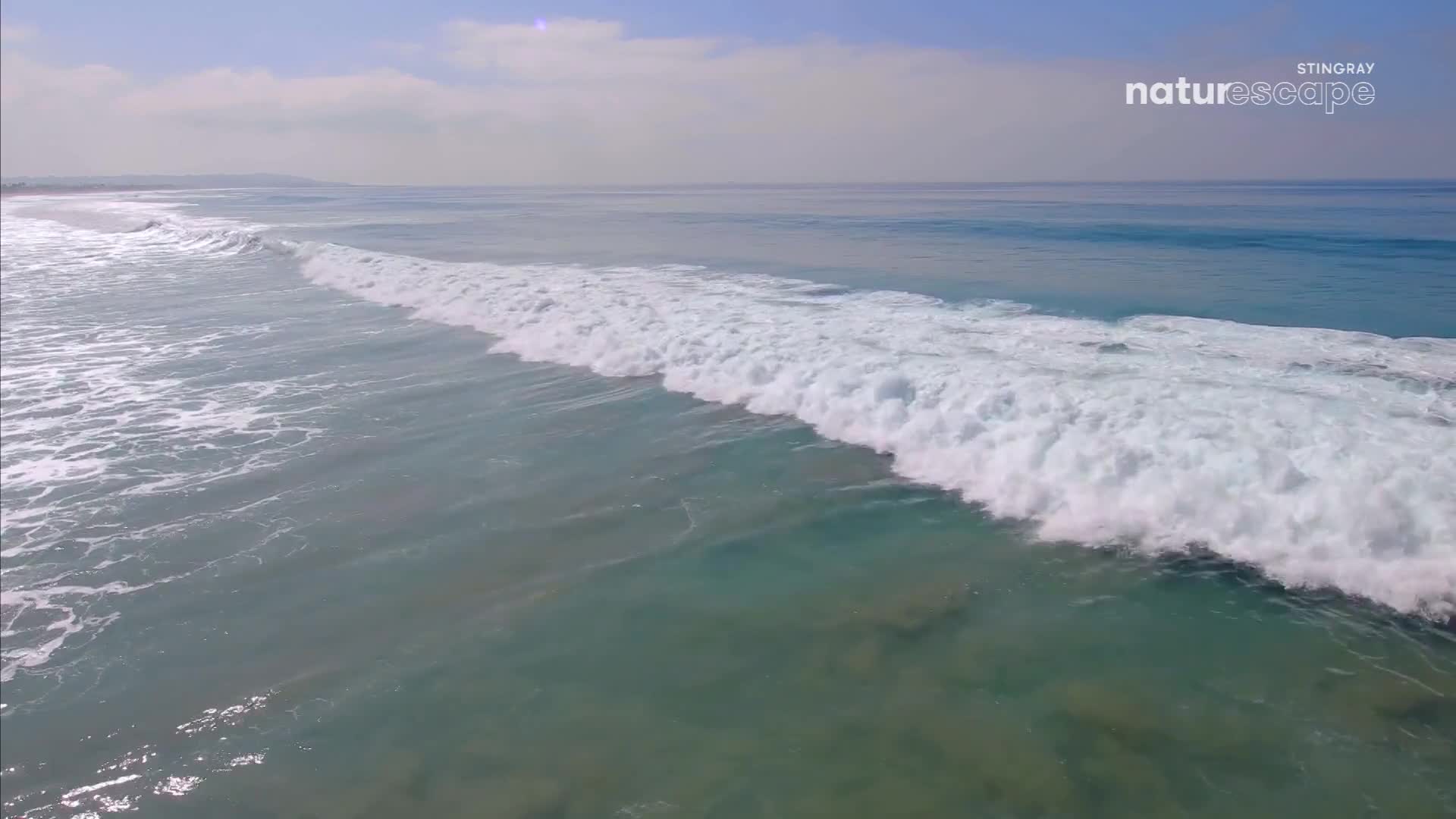 A foamy wave is cresting, a white line against the turquoise water. The water is clear and shallow near the shore, then deepens into a darker blue.
