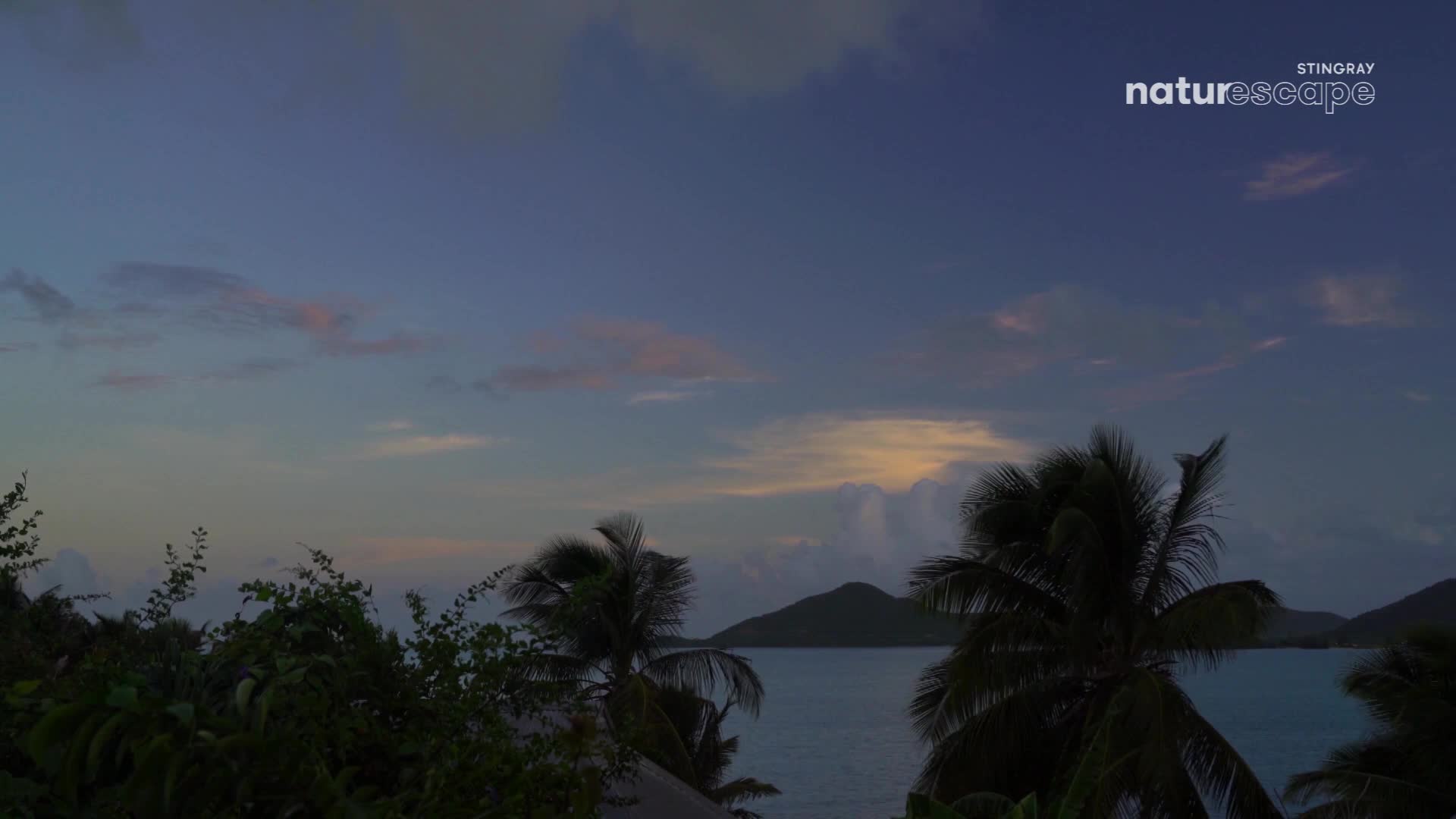 The sky is a blend of blues and pinks, with clouds drifting over the calm water. Palm trees sway gently in the foreground, framing the distant island.
