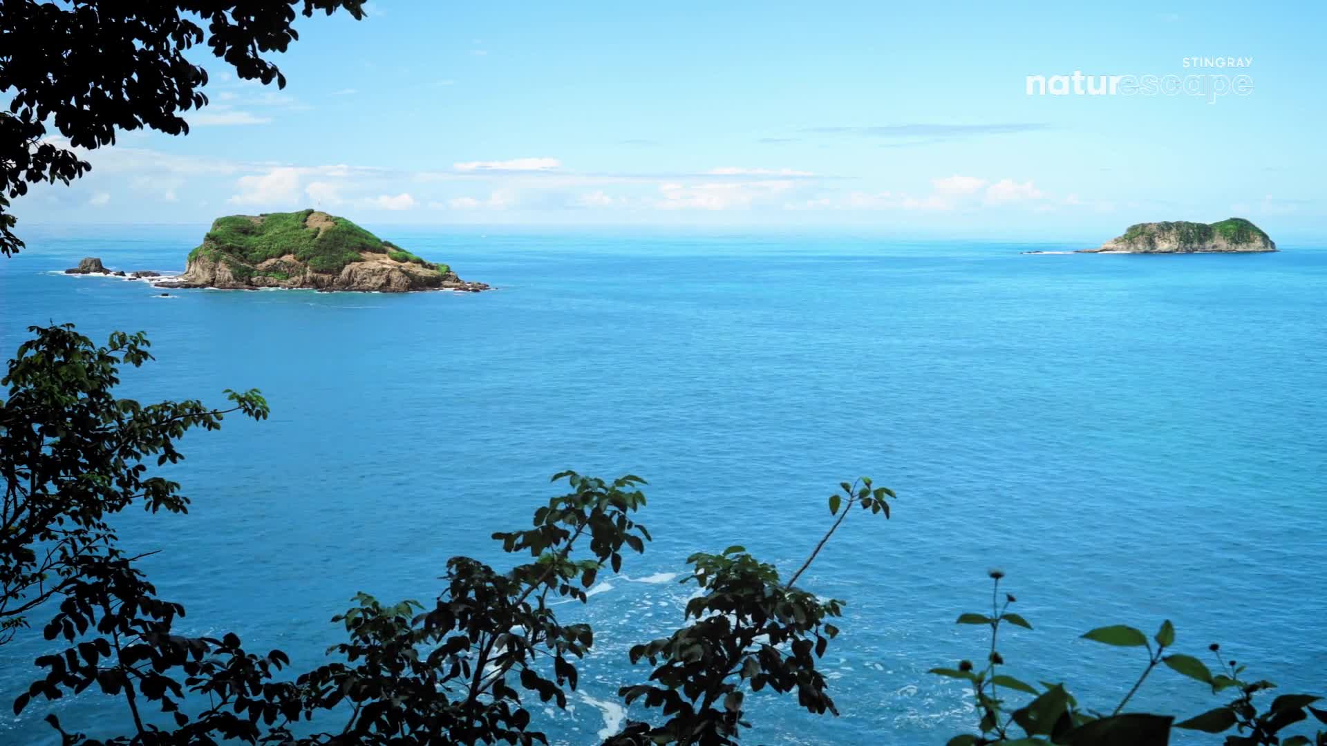 The ocean stretches out, a deep blue expanse punctuated by two small, green islands. Lush foliage frames the view from above, a natural border to the scene.
