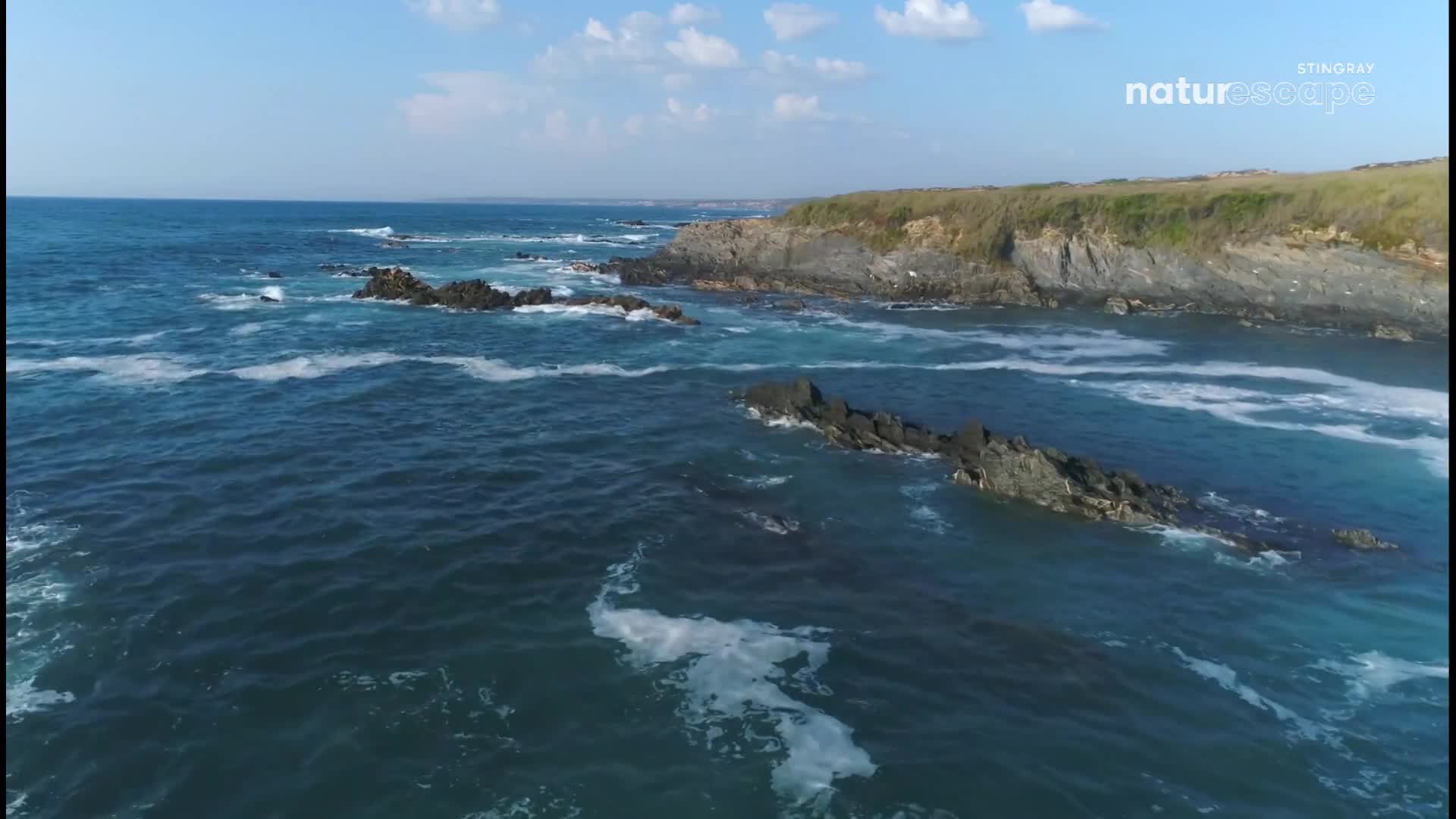 The ocean churns, its waves crashing against dark, rocky outcroppings along the Canadian coastline. The water's surface is a deep blue, contrasted by the white foam that forms as the tide meets the shore.
