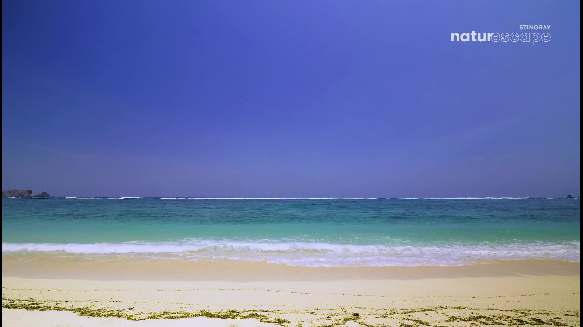 Gentle waves roll onto the sandy shore, their white crests contrasting with the turquoise water. Above, a vast, cloudless blue sky stretches out to the horizon.
