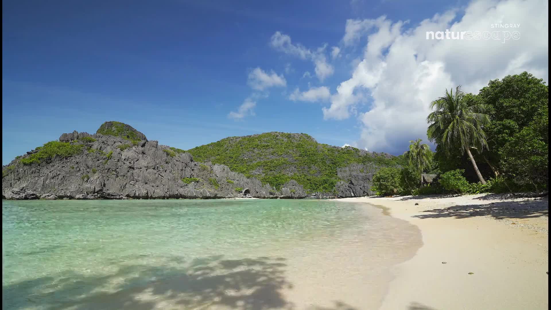 Clear water laps gently onto a sandy beach, reflecting the bright sky. Jagged, rocky cliffs rise from the water, covered in green vegetation, while palm trees sway in the breeze.
