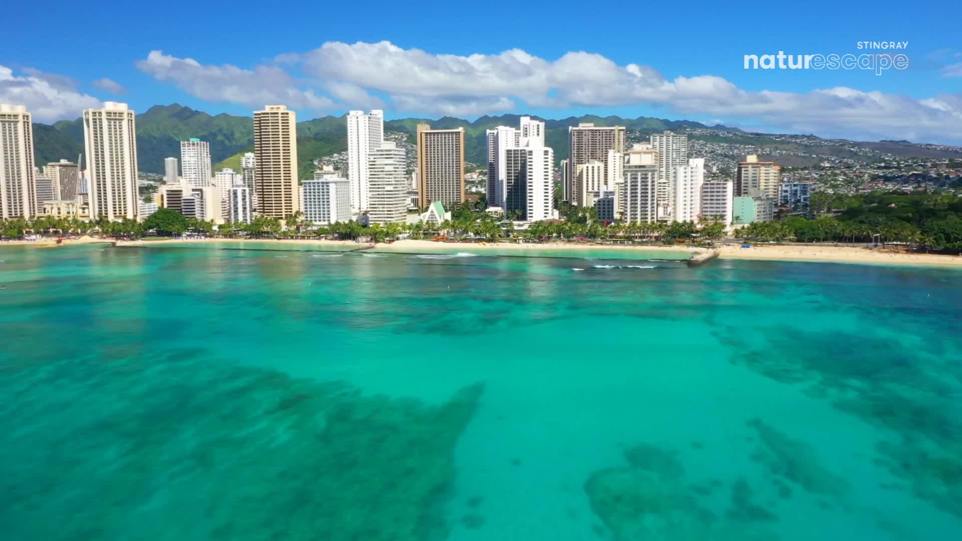 Turquoise water laps against a sandy beach, with a city skyline of tall buildings in the background. The scene is bathed in bright sunlight, with a few fluffy clouds dotting the blue sky.
