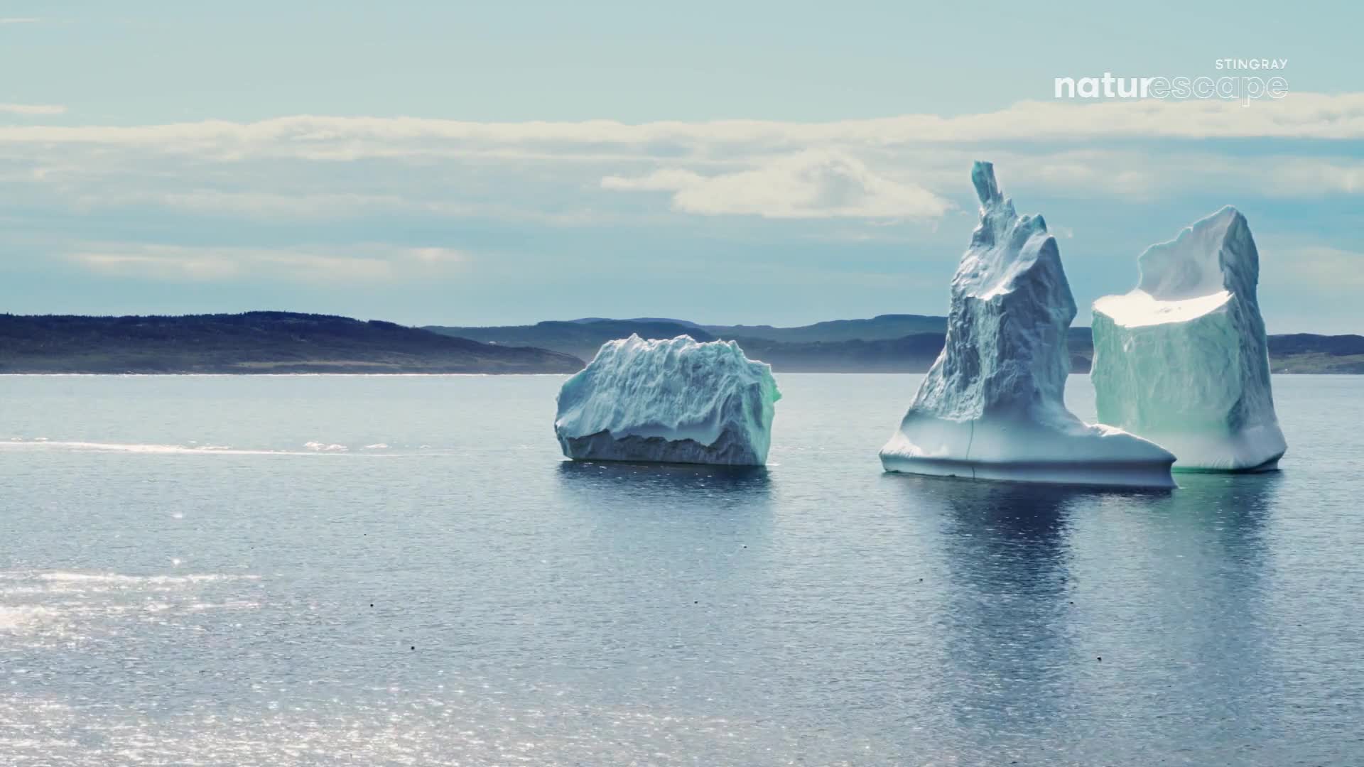 Icebergs, sculpted by the elements, drift serenely on the water. The Canadian landscape stretches out in the distance, a backdrop to the glacial giants.
