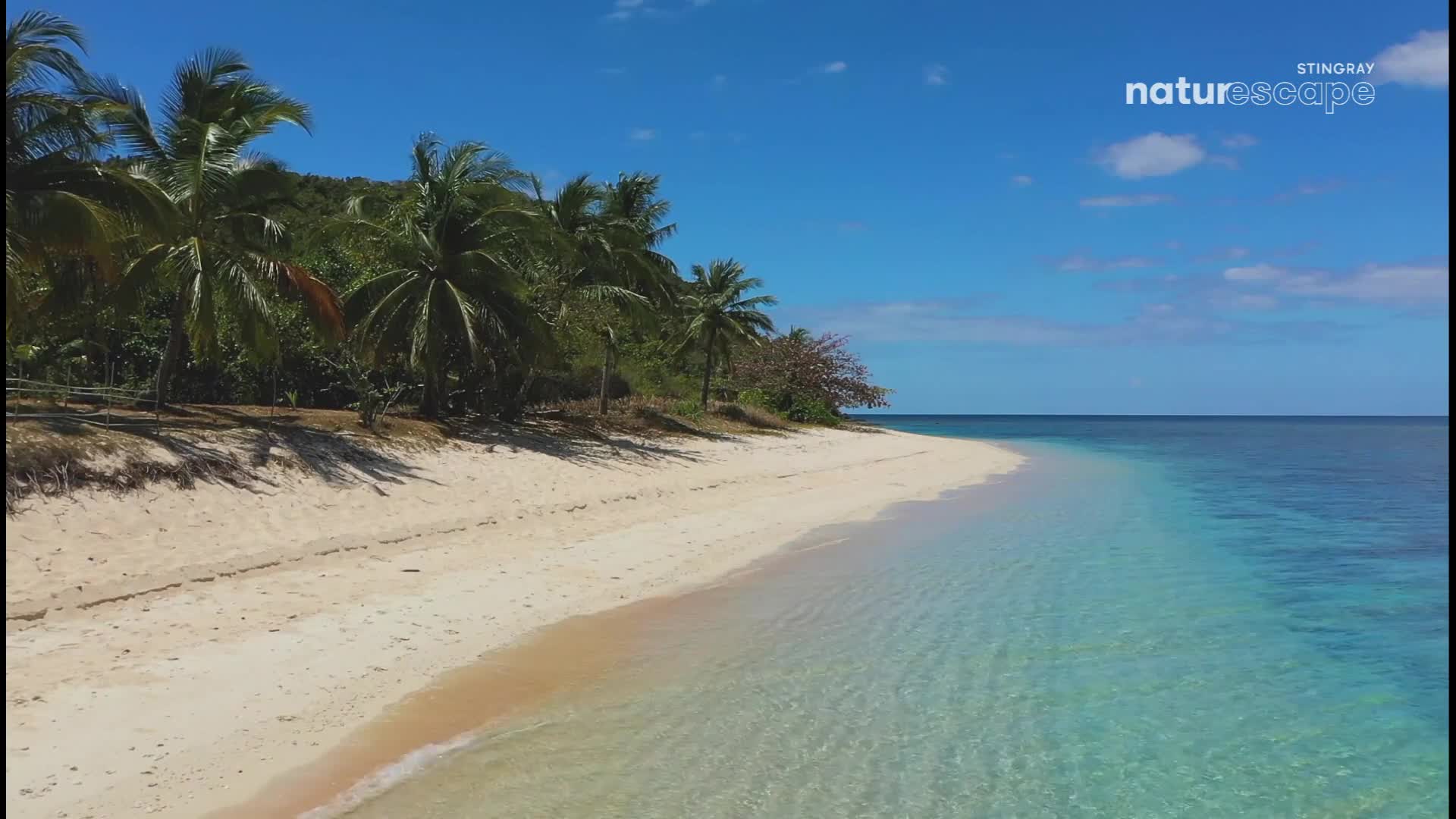The clear water gently laps the white sand of the beach. Palm trees sway in the breeze, their shadows stretching across the shore.
