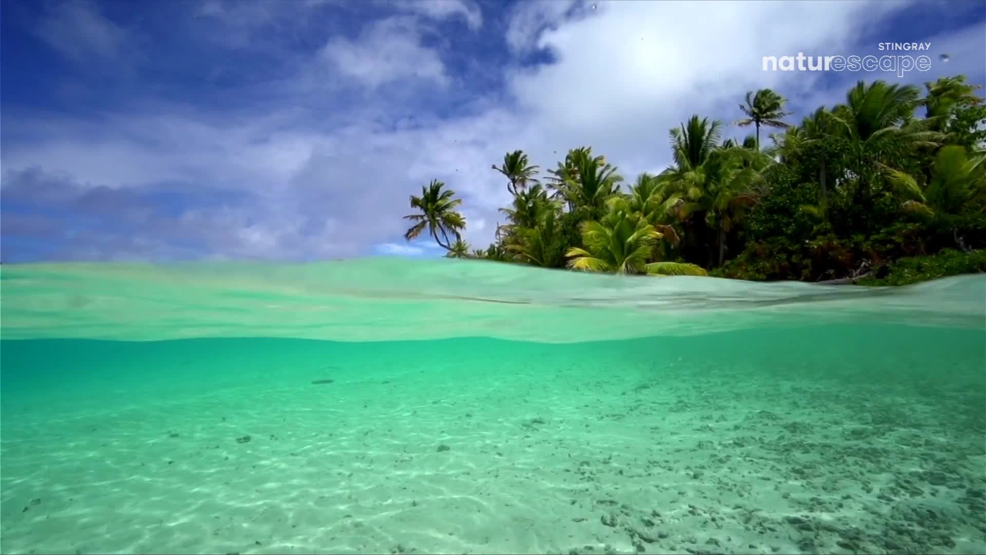 Clear turquoise water laps against a sandy seabed, while a lush green island rises above the surface. Overhead, a bright blue sky is dotted with fluffy white clouds.
