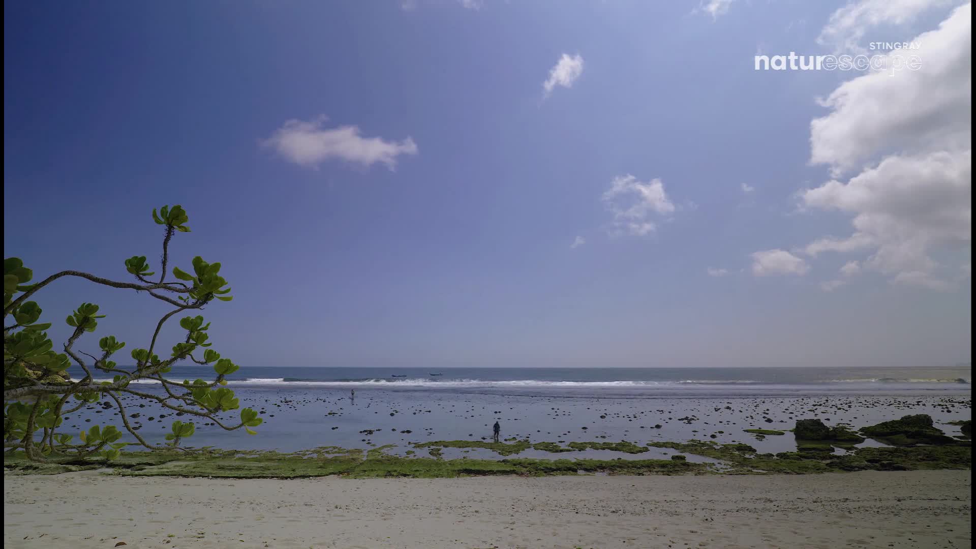 A lone figure stands in the shallow water, facing the ocean. The sky is a bright blue, dotted with fluffy white clouds, and the gentle waves lap at the shore.
