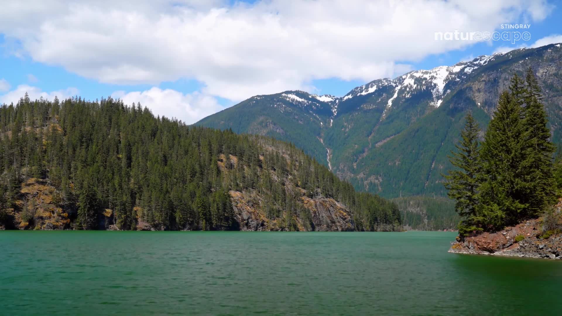 The still water of a lake reflects the sky and the surrounding mountains, their peaks dusted with snow. Dense evergreen forests line the shore, a testament to the wild beauty of Canada's landscape, as seen in Stingray Naturescape.
