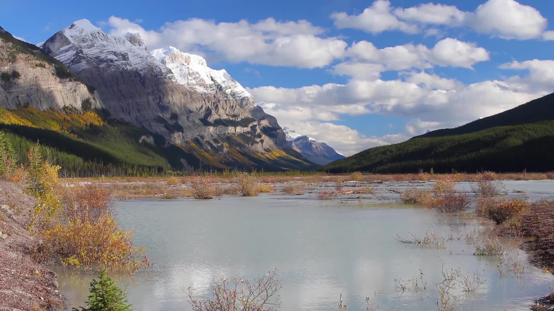 The pale water reflects the sky, dotted with small, dry bushes. Towering mountains, capped with snow, frame the open landscape of this Canadian wilderness.
