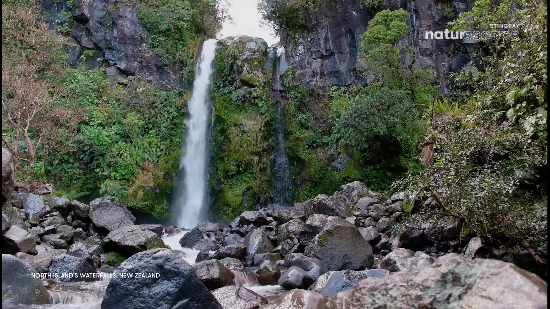 Water crashes down the cliff face, a white ribbon against the dark rock and lush green foliage. Below, the water flows over a jumble of gray stones.
