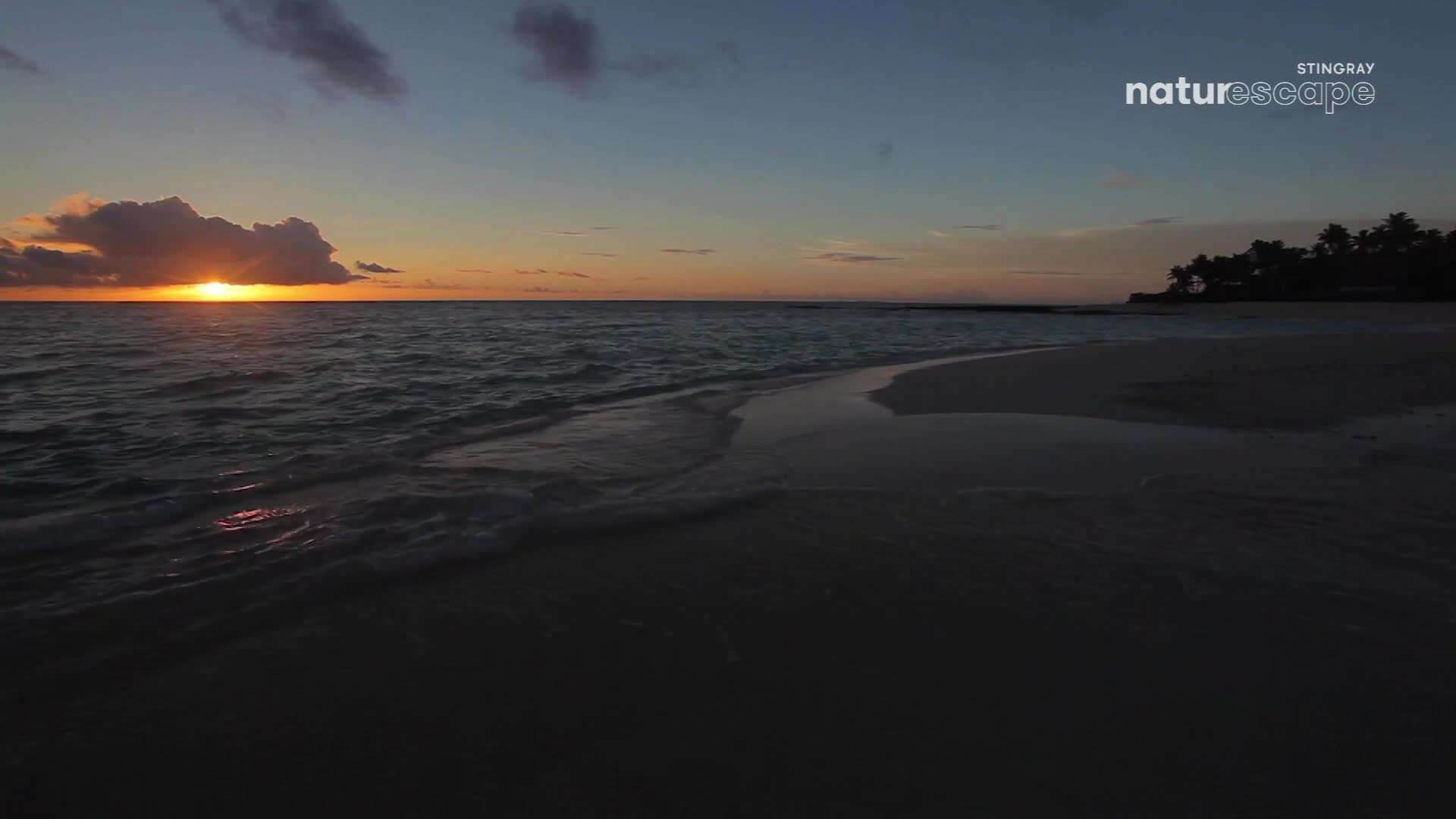 The sun dips below the horizon, painting the sky with warm hues as the waves gently lap the shore. The dark silhouette of the sand and the distant trees create a peaceful contrast against the glowing sky.
