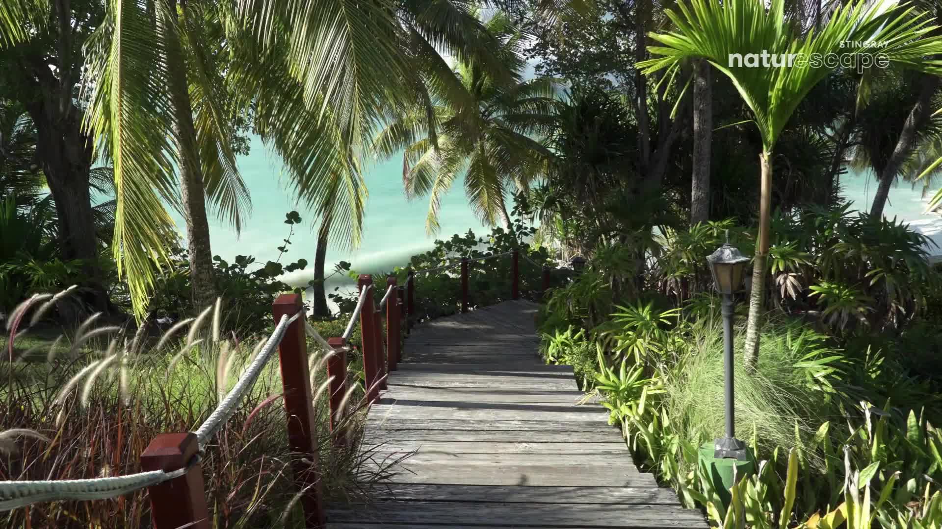 A wooden walkway, bordered by rope railings, leads toward a turquoise sea. Palm fronds cast shadows across the path, and the air feels warm and humid.
