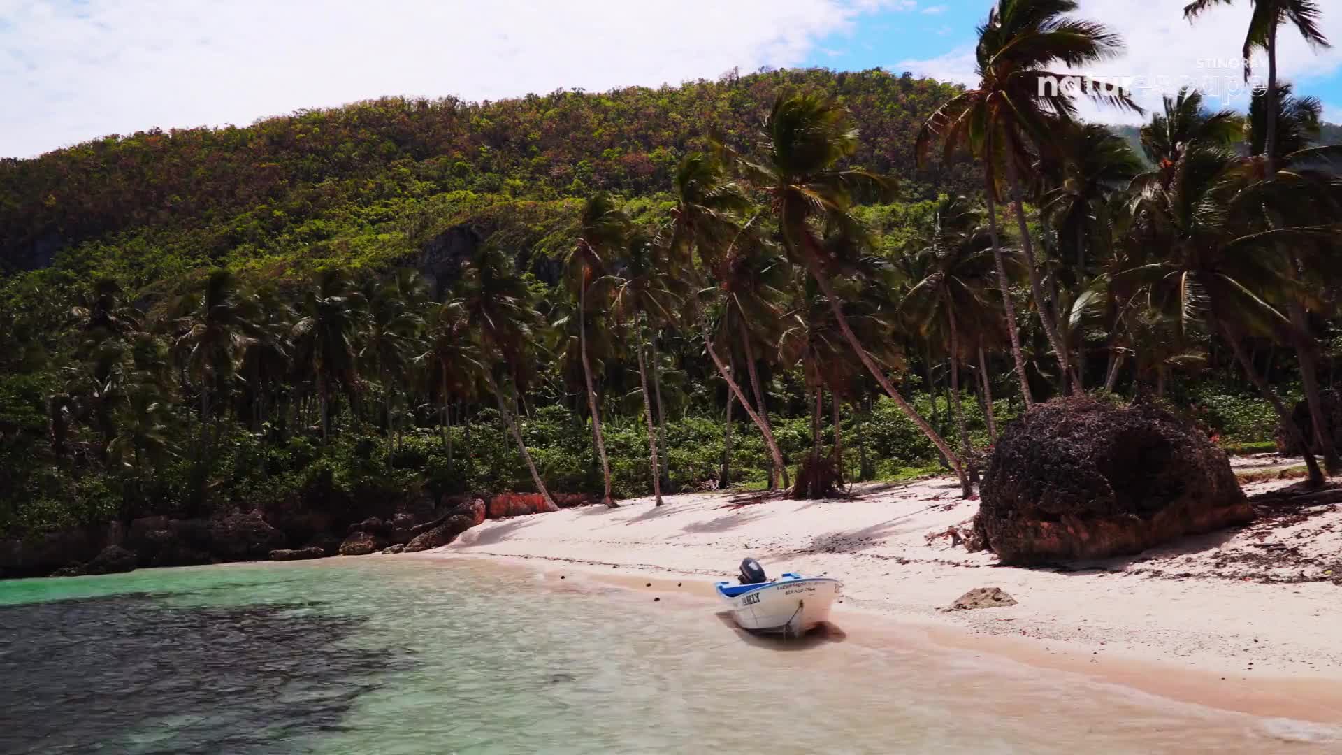 Palm trees sway gently in the breeze along a sandy beach, their fronds rustling above a small boat pulled ashore. The turquoise water laps peacefully at the shoreline.

