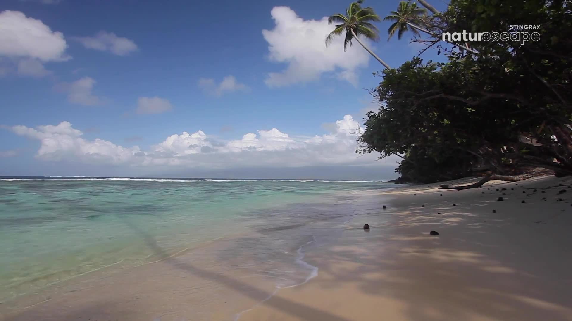 The gentle waves lap at the sandy shore, their foamy edges receding. Overhead, puffy white clouds drift across a bright blue sky, casting shadows on the beach.
