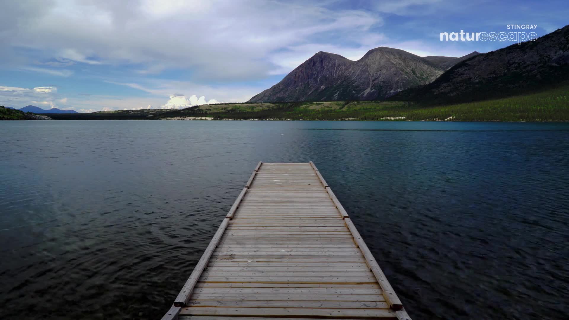 A wooden dock stretches out into a calm lake, the water reflecting the cloudy sky and the distant mountains. The Stingray Naturescape logo sits in the top right corner, a reminder of the Canadian wilderness.
A wooden dock stretches out into a calm lake, the water reflecting the cloudy sky and the distant mountains. The Stingray Naturescape logo sits in the top right corner, a reminder of the Canadian wilderness.