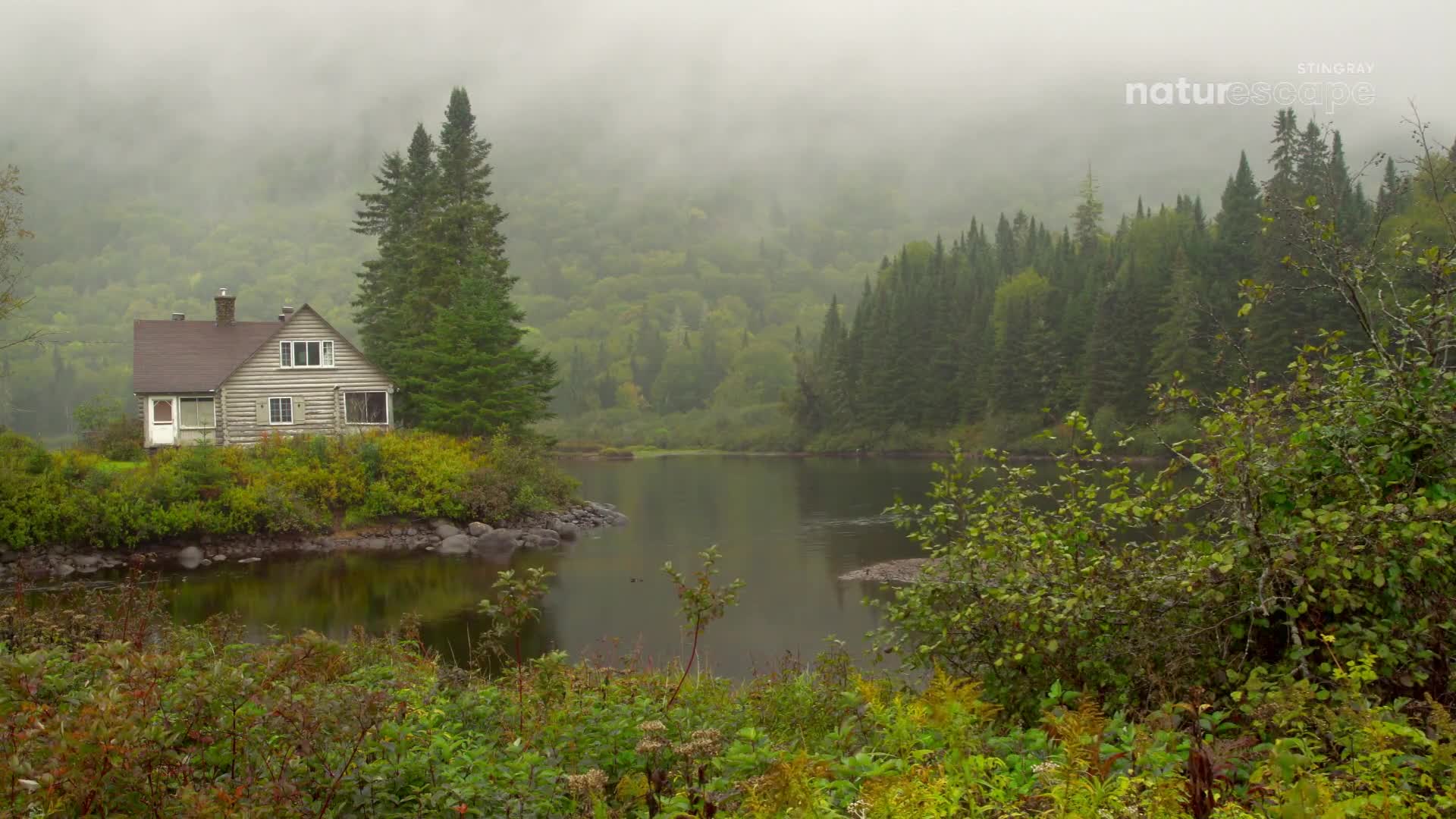 A small cabin sits on a patch of land surrounded by calm water, with the Canadian wilderness shrouded in mist behind it. The air is thick, and the scene is quiet, with only the gentle lapping of water against the shore.
A small cabin sits on a patch of land surrounded by calm water, with the Canadian wilderness shrouded in mist behind it. The air is thick, and the scene is quiet, with only the gentle lapping of water against the shore.
