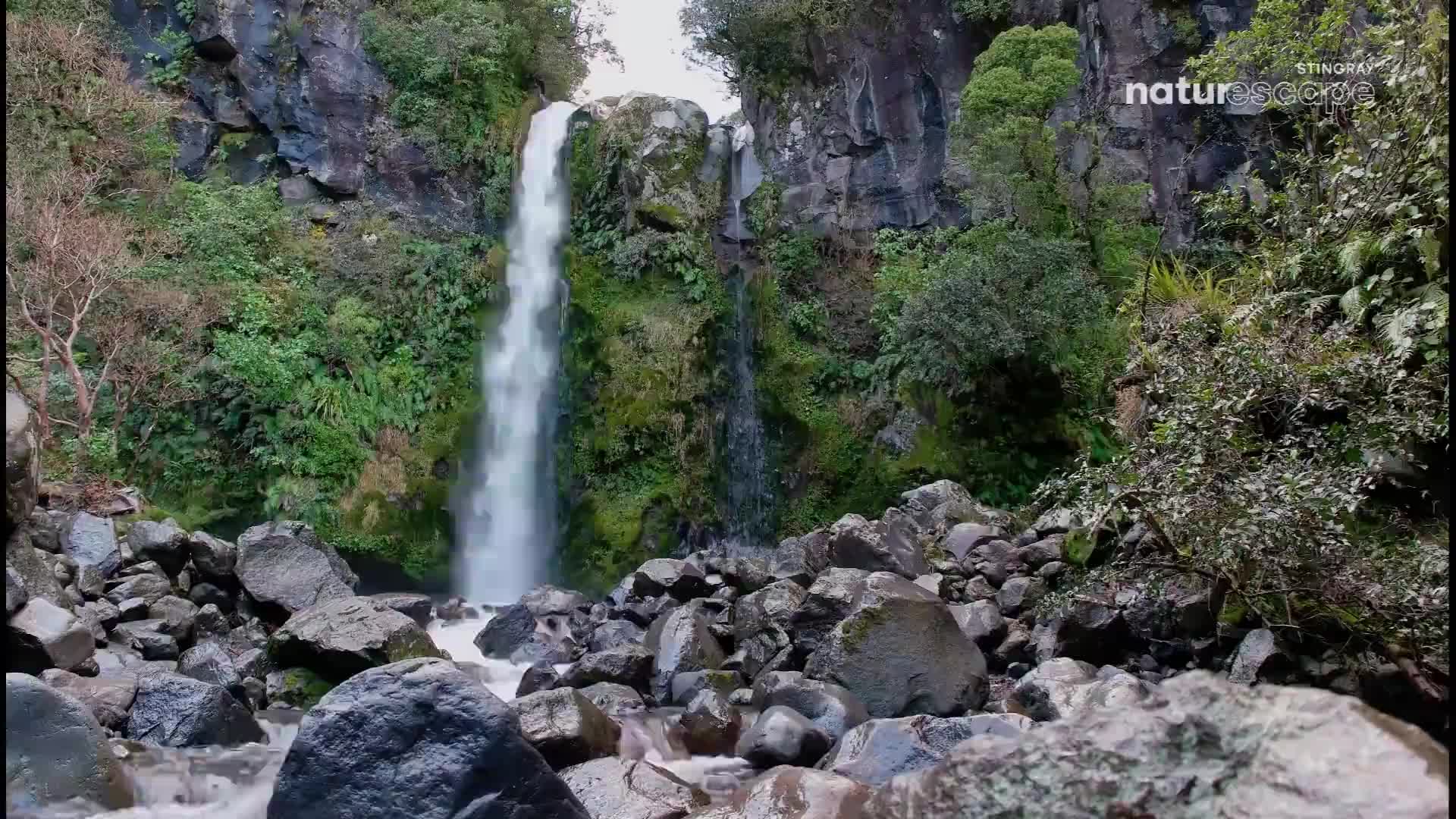 Water plunges down a mossy cliff face, crashing into the rocky stream below. Lush green foliage clings to the dark stone walls surrounding the cascade.