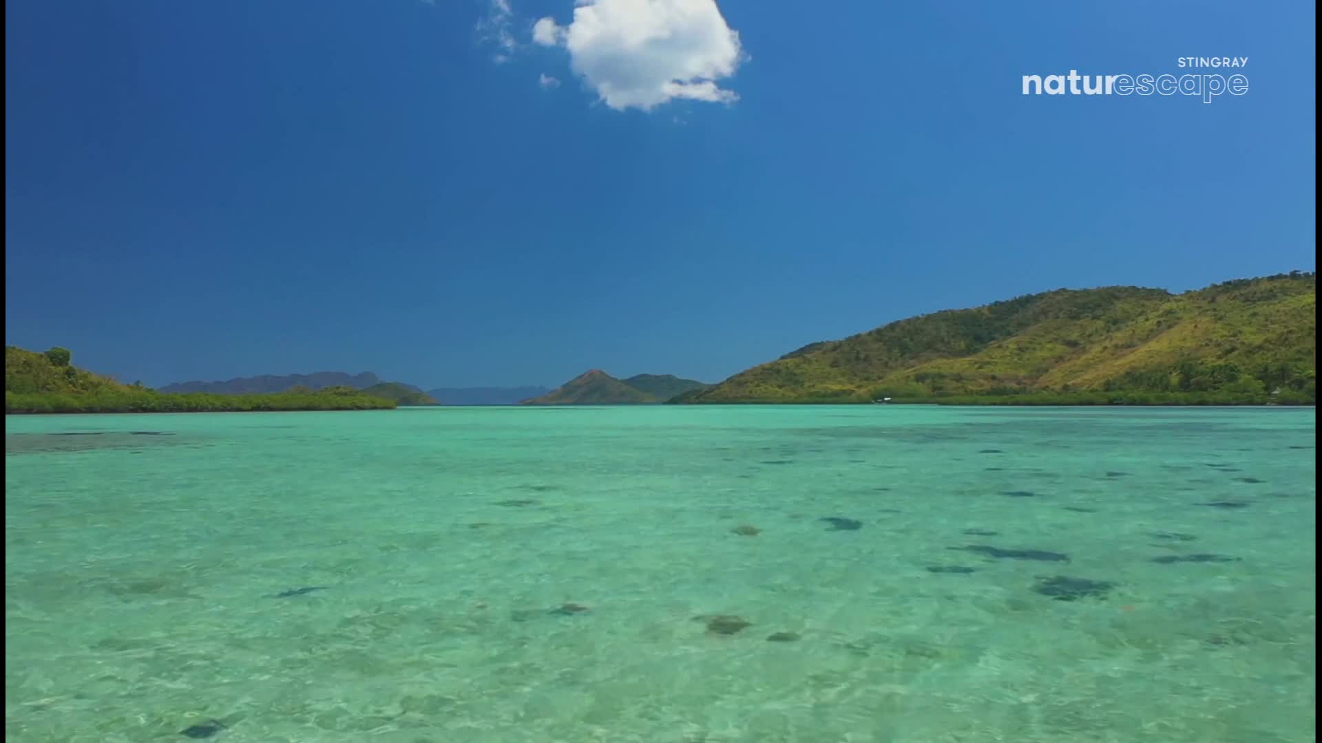 Several stingrays glide through the clear, turquoise water. Lush, green hills rise on either side of the bay under a bright blue sky.