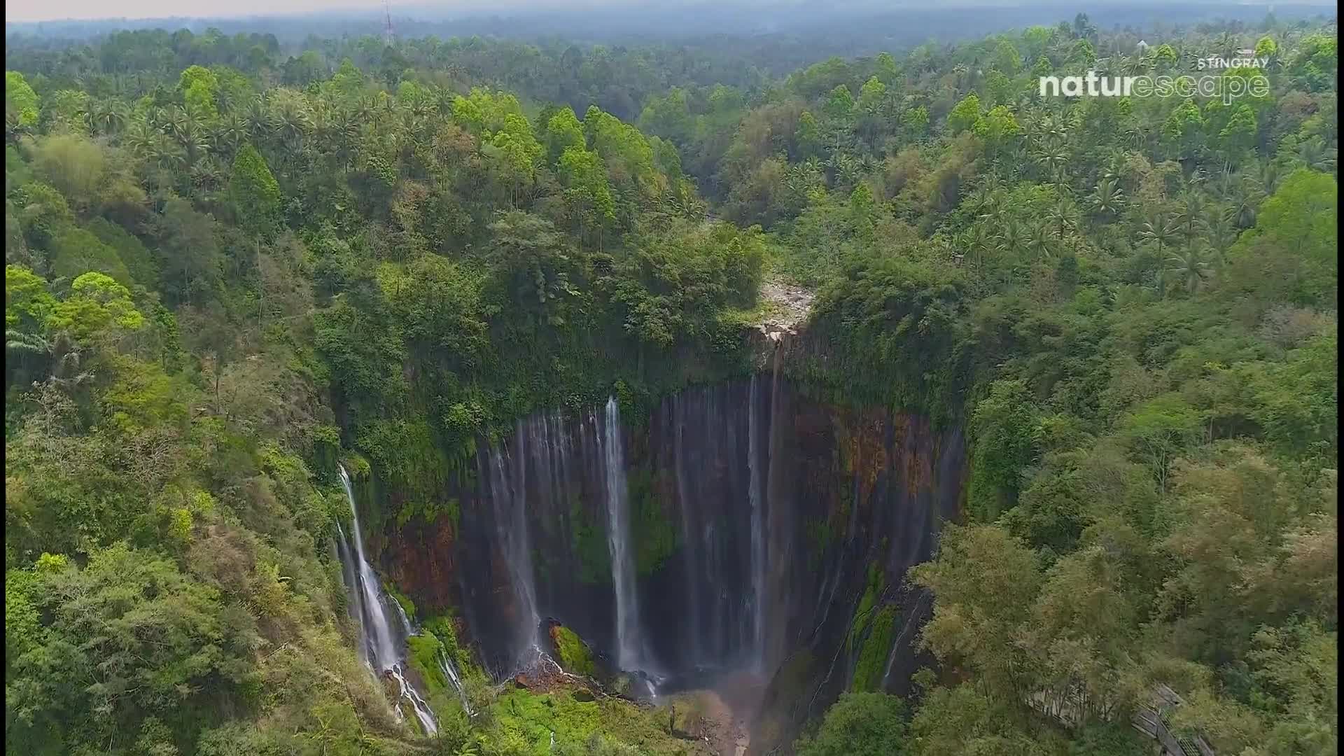 Water cascades down a sheer cliff face, disappearing into a lush, green jungle. The mist rising from the falls hangs in the humid air.