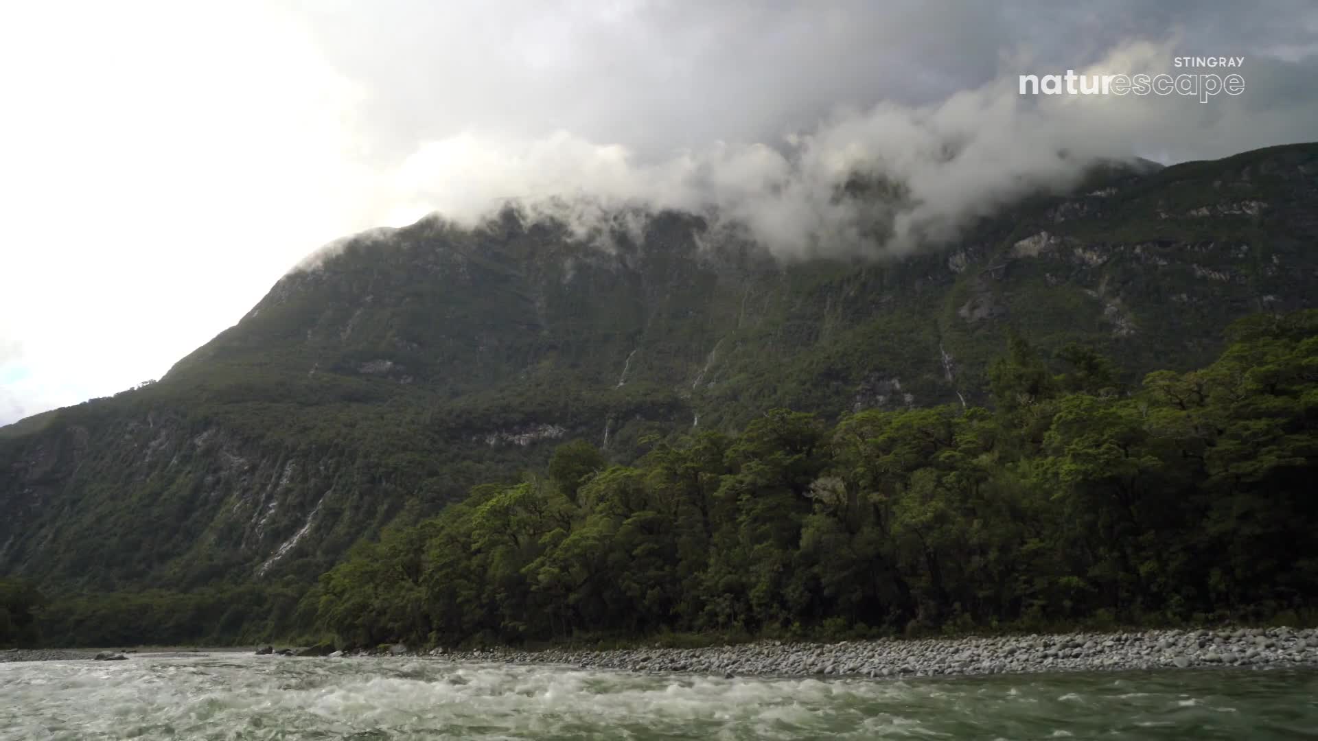 The river rushes past, its water churning white over smooth stones. Above, a massive, tree-covered mountain slopes upward, disappearing into low-hanging clouds.