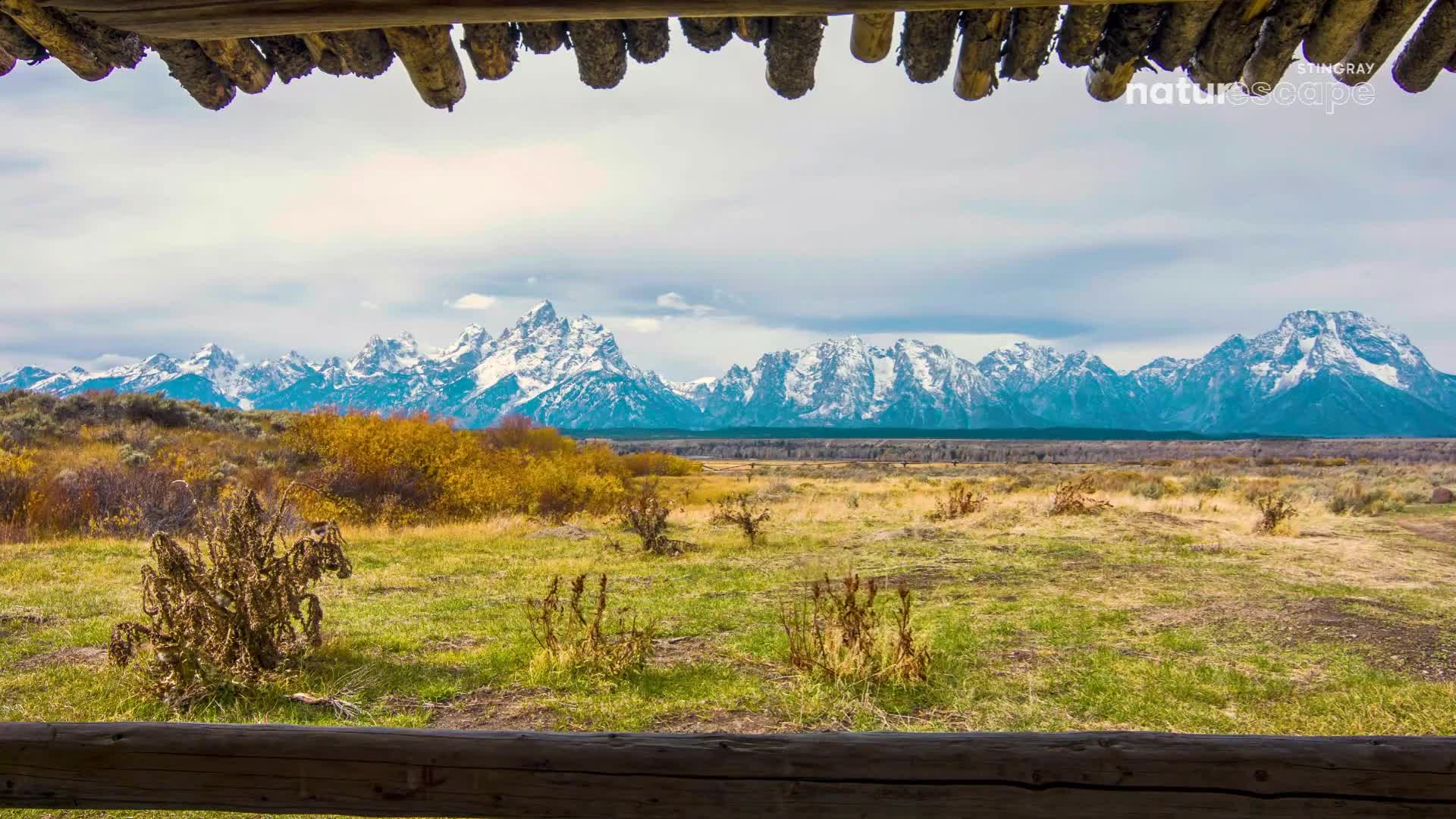 The wind rustles through the dry grasses and golden brush. Jagged, snow-capped peaks rise against a cloudy sky in the distance. The wind rustles through the dry grasses and golden brush. Jagged, snow-capped peaks rise against a cloudy sky in the distance.