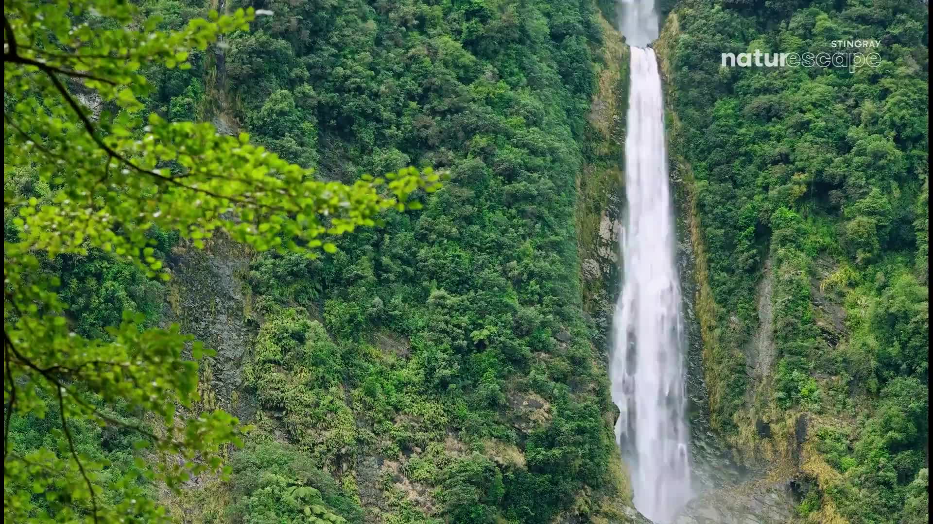 Water plunges down a sheer rock face, a white ribbon against the dense green of the Canadian forest. The spray catches the light, creating a misty veil at the base of the falls.
