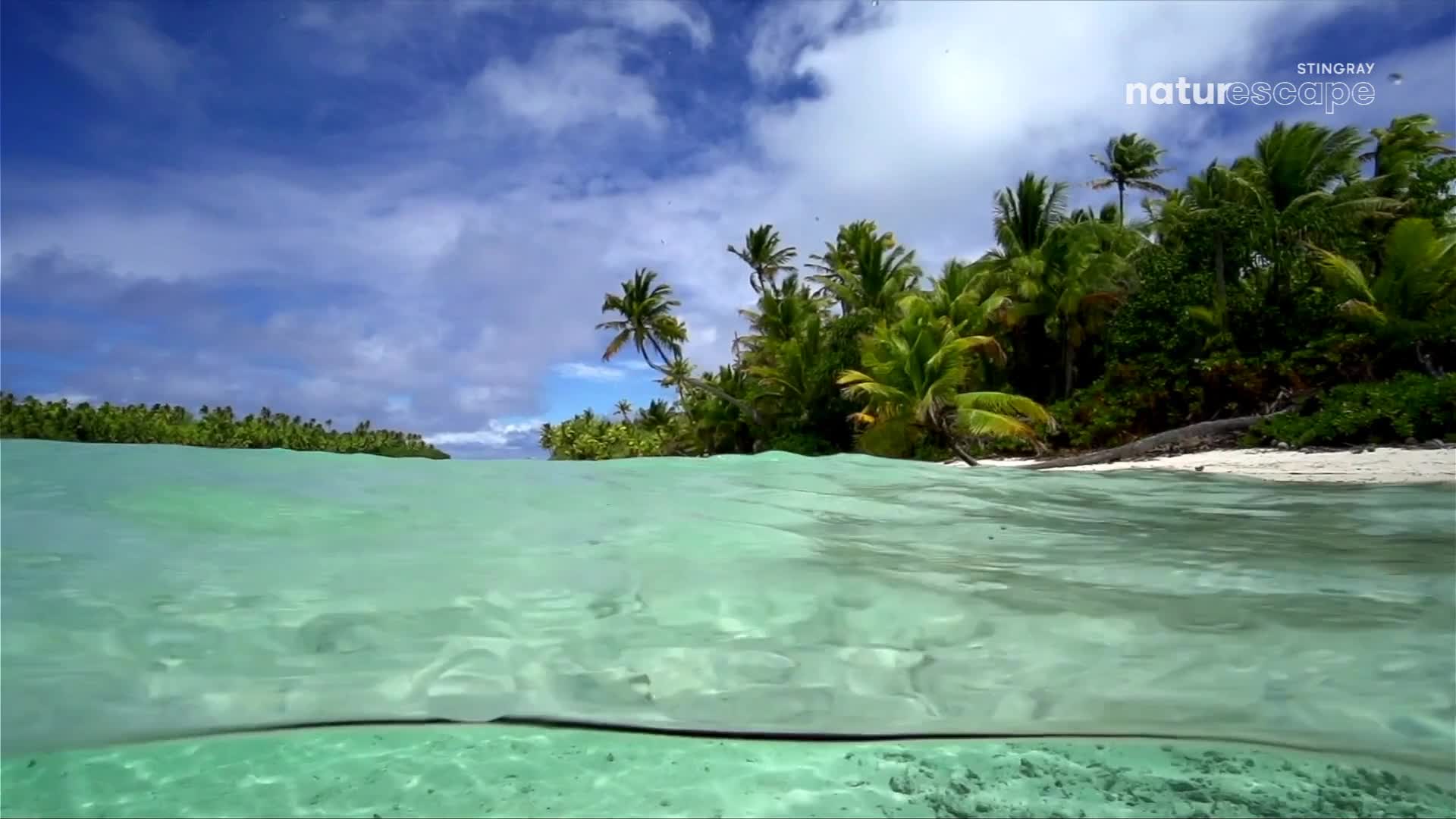 The clear turquoise water laps gently against a white sandy shore, fringed by lush, green palm trees.  A line of smaller islands, also covered in dense foliage, stretches across the horizon.