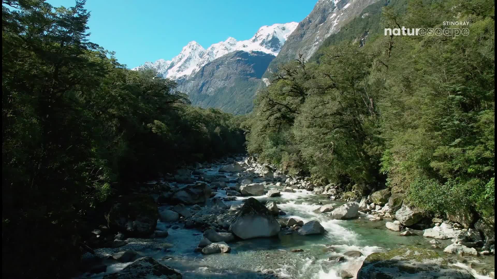 The river rushes over smooth, grey stones, its clear water sparkling under a bright blue sky. Towering, snow-capped mountains rise behind a dense forest of dark green trees.