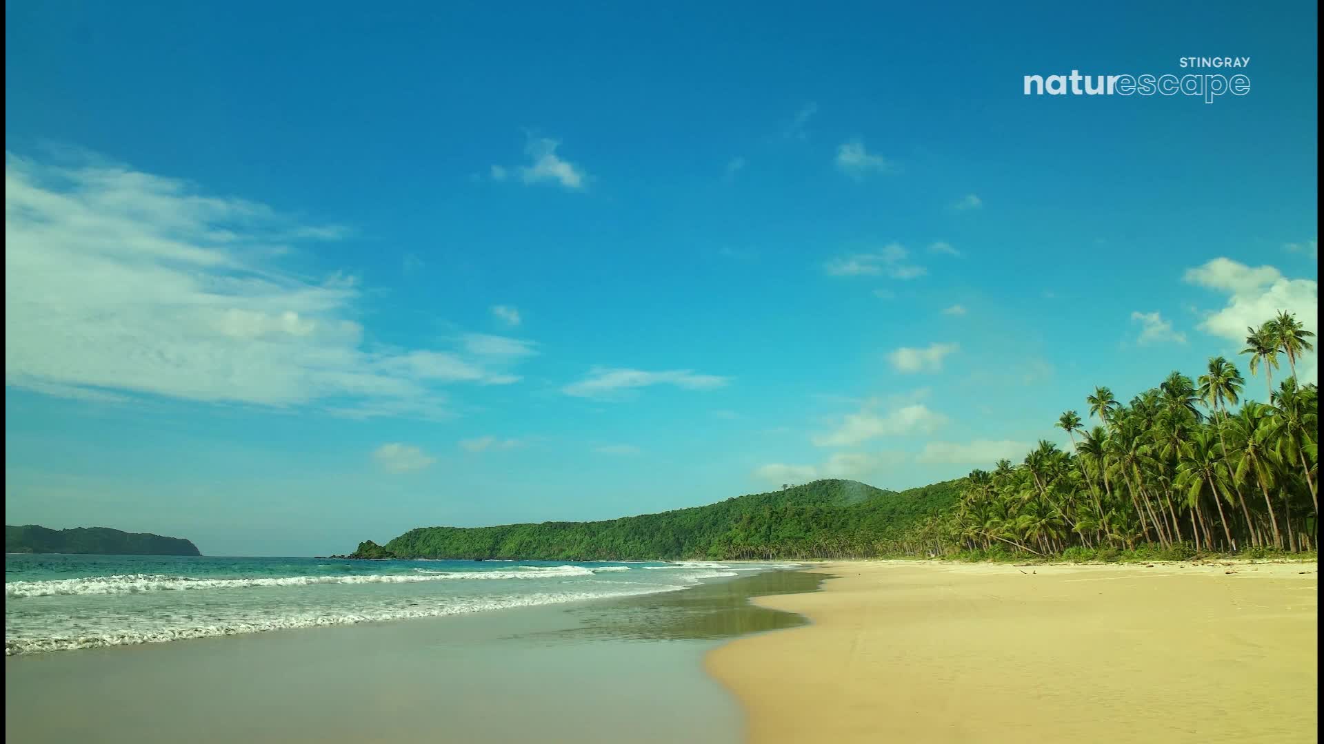 Waves roll onto a wide, sandy beach lined with palm trees. Lush green hills rise behind the trees, meeting a bright blue sky dotted with white clouds. Waves roll onto a wide, sandy beach lined with palm trees. Lush green hills rise behind the trees, meeting a bright blue sky dotted with white clouds.