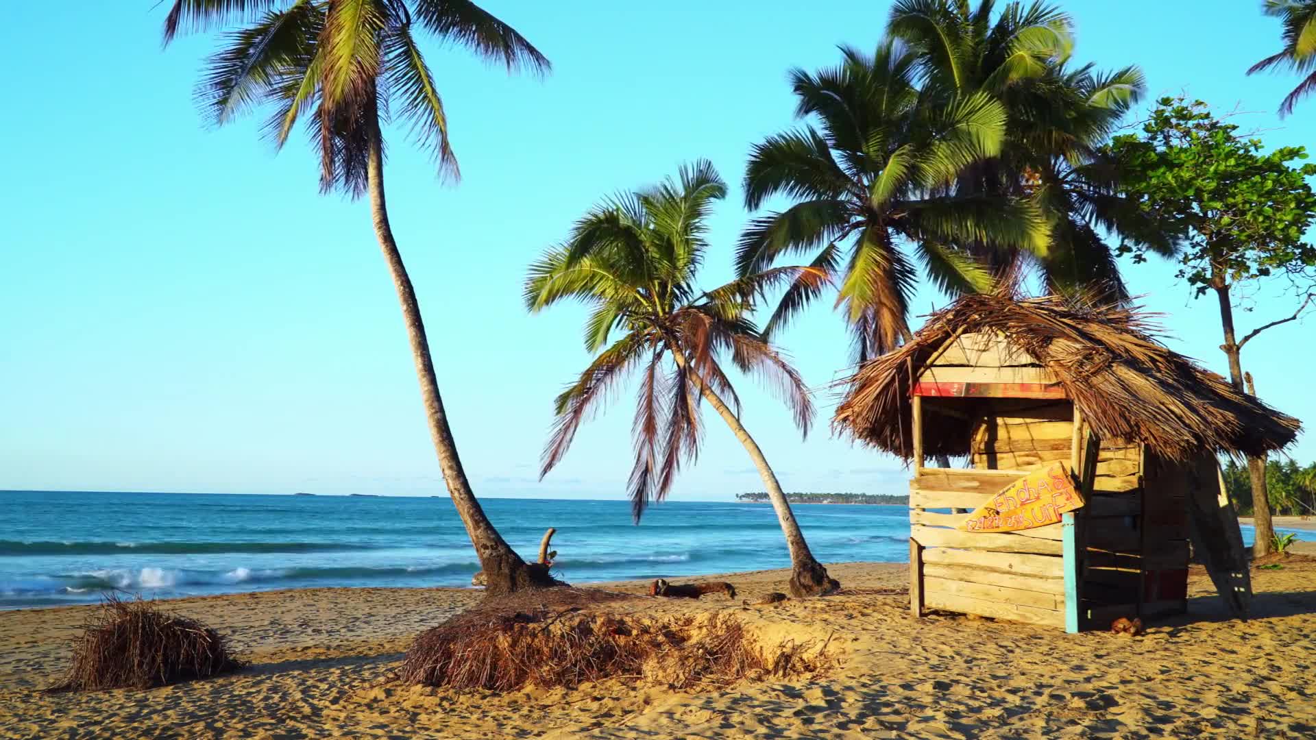 Palm trees lean over a sandy beach, their fronds rustling in the breeze. A small, rustic hut with a thatched roof sits near the water's edge. Palm trees lean over a sandy beach, their fronds rustling in the breeze. A small, rustic hut with a thatched roof sits near the water's edge.
