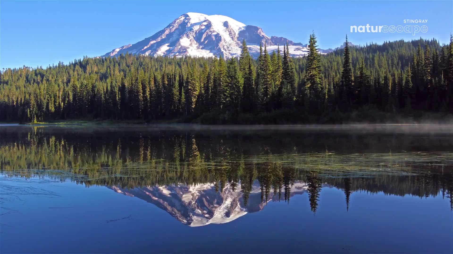 The still water perfectly mirrors the snow-capped mountain and dense evergreen forest. A thin mist hovers just above the lake's surface. The still water perfectly mirrors the snow-capped mountain and dense evergreen forest. A thin mist hovers just above the lake's surface.
