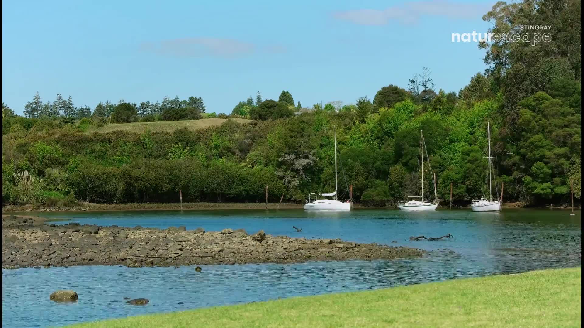 Three sailboats bob gently on the blue water. A lone bird skims the surface of the bay.