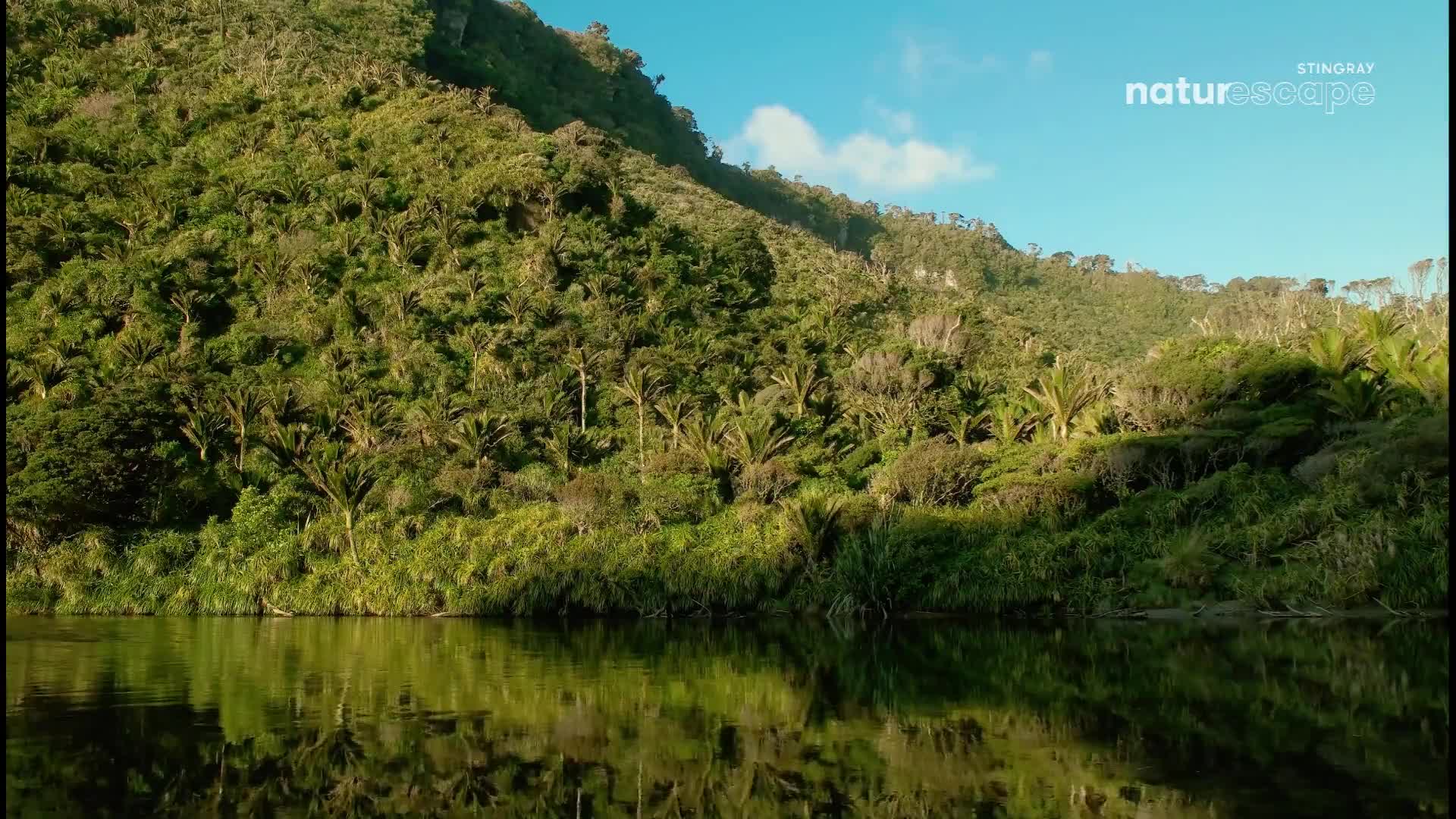 The sun hits a steep, green hillside covered in dense foliage.  A calm body of water mirrors the lush landscape before me.