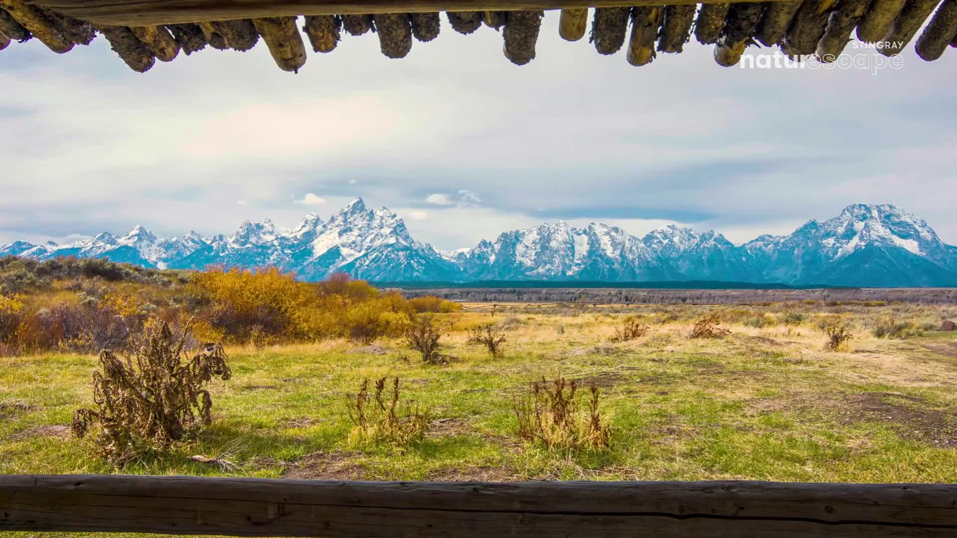 The rugged peaks of the Canadian Rockies, dusted with snow, rise majestically behind a wide, open meadow. Autumnal grasses and shrubs dot the landscape, their colours muted under a cloudy sky.
