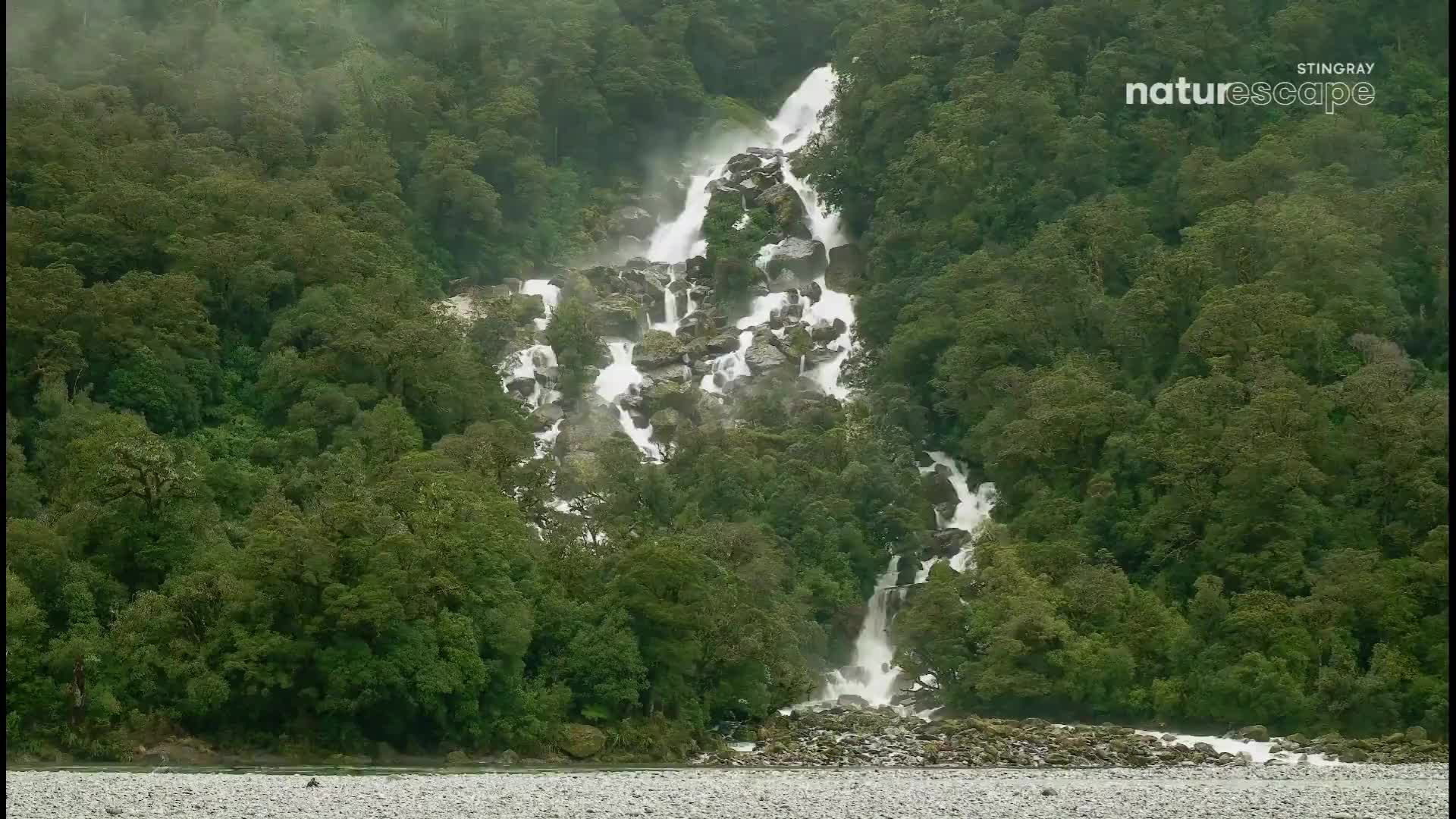 White water cascades down a rocky slope, disappearing into the dense green forest. The spray rises like mist from the base of the falls, a constant rush against the quiet of the trees.