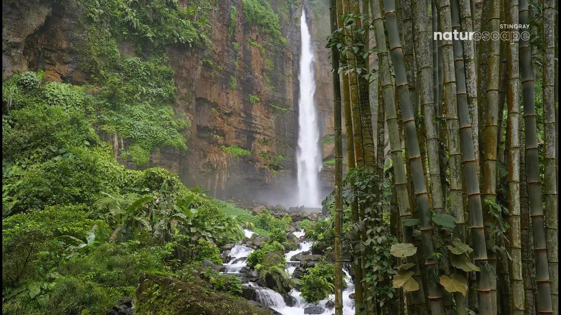 A tall waterfall plunges down a rocky cliff face, its water cascading over mossy stones into a stream below. Towering bamboo stalks stand to the right, their green trunks reaching towards the misty air.