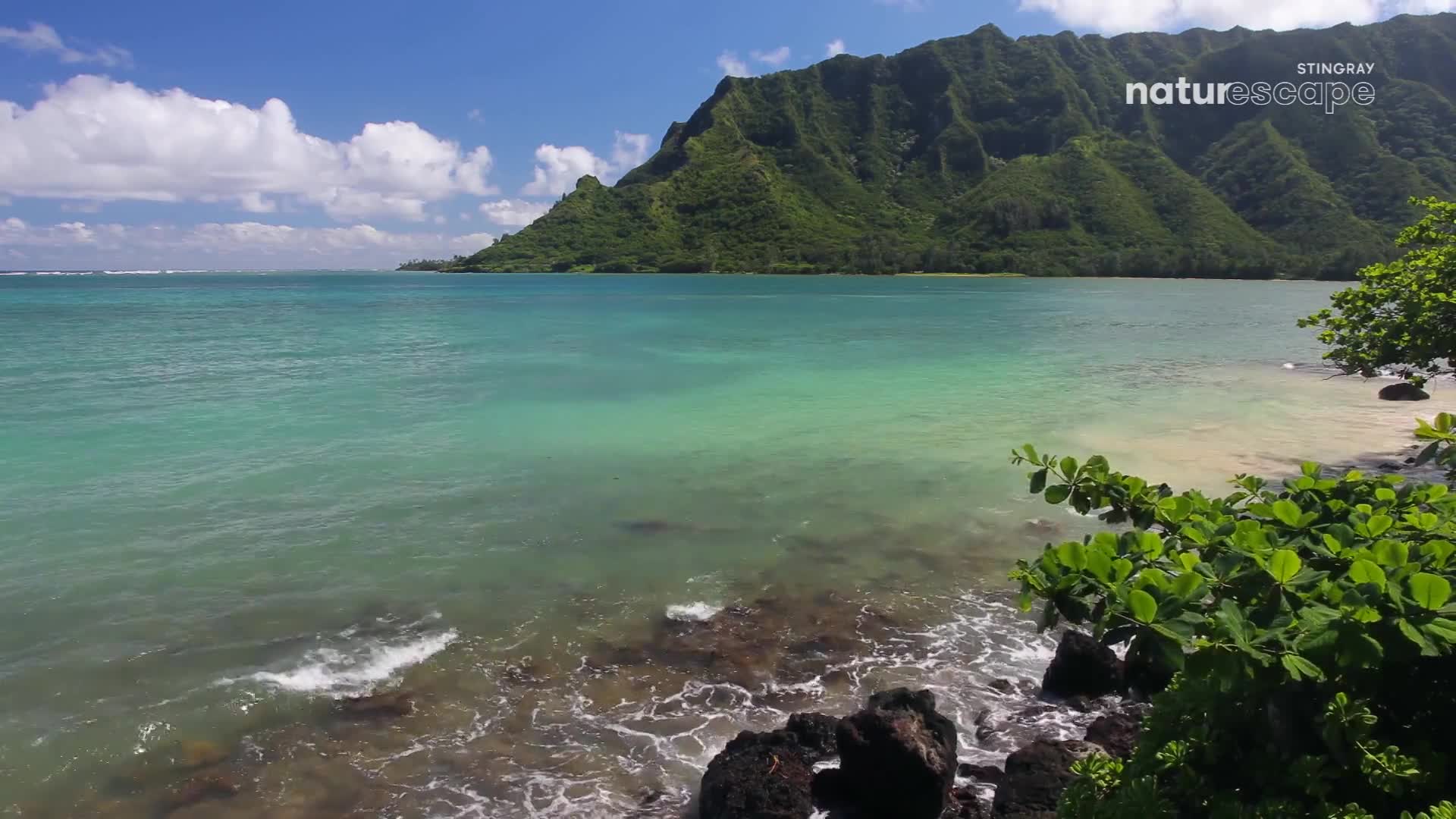 The water is a clear, vibrant turquoise, revealing dark shapes gliding beneath the surface. Lush green mountains rise steeply from the far shore, their peaks softened by scattered clouds.