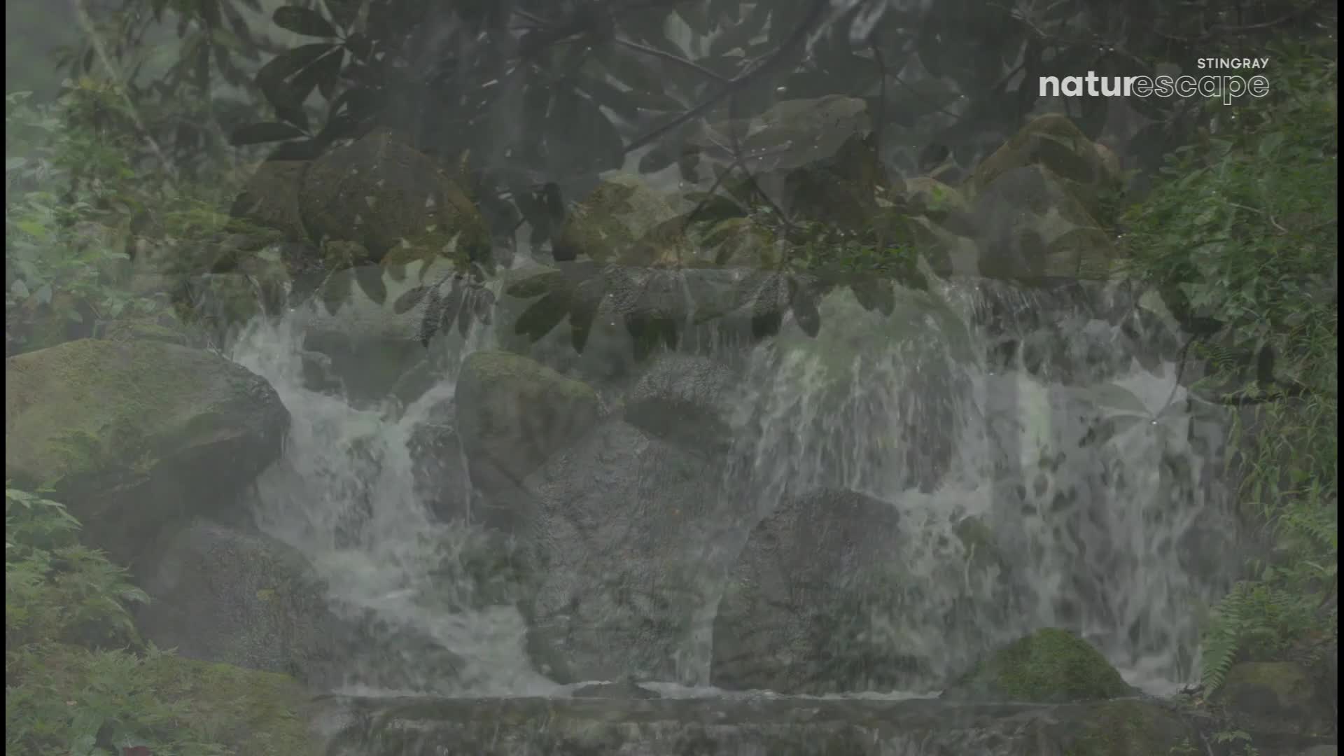 Water tumbles over moss-covered rocks, creating a misty cascade. Lush green foliage frames the scene, hinting at a Canadian wilderness.