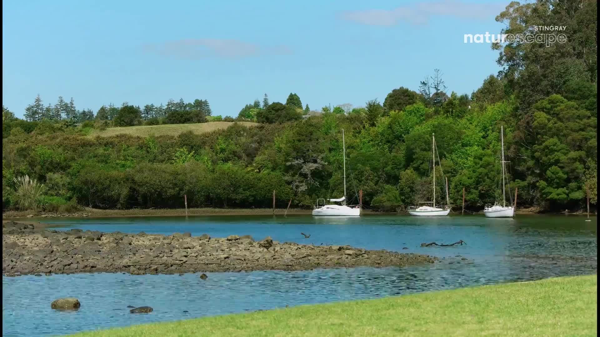Three white sailboats are moored in the calm, blue water. A lone bird glides low over the surface near a rocky shore.