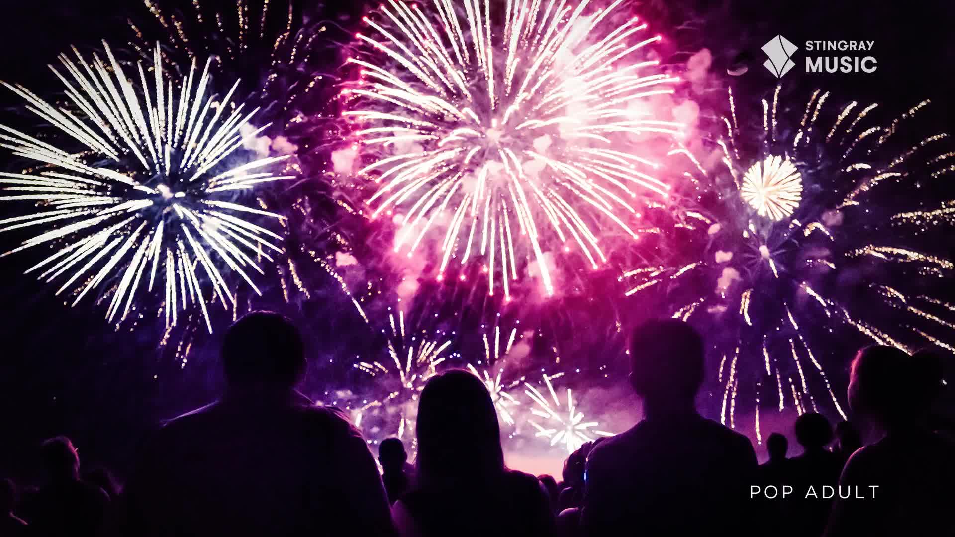 Above, bursts of white and pink fireworks bloom across the sky. The crowd below watches, silhouetted against the vibrant display, likely enjoying a Stingray Pop Adult event in Canada.
