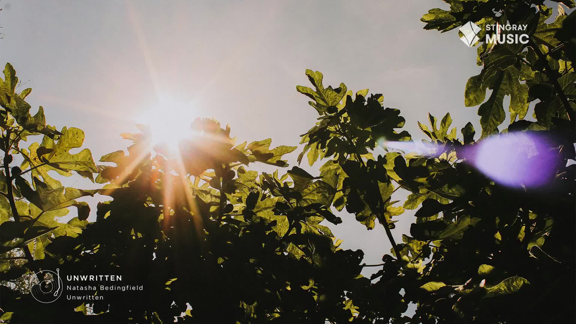 The sun bursts through the leaves, its rays creating a bright halo. Stingray Music's logo sits in the corner, and the song "Unwritten" by Natasha Bedingfield is playing.

