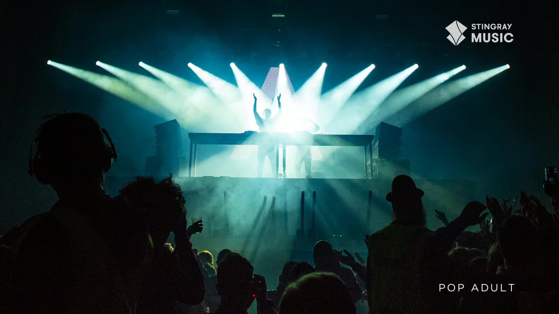 The stage is bathed in bright spotlights, and a figure with arms raised is silhouetted behind a console. Below, the crowd bobs and waves, fully immersed in the Stingray Pop Adult music.
