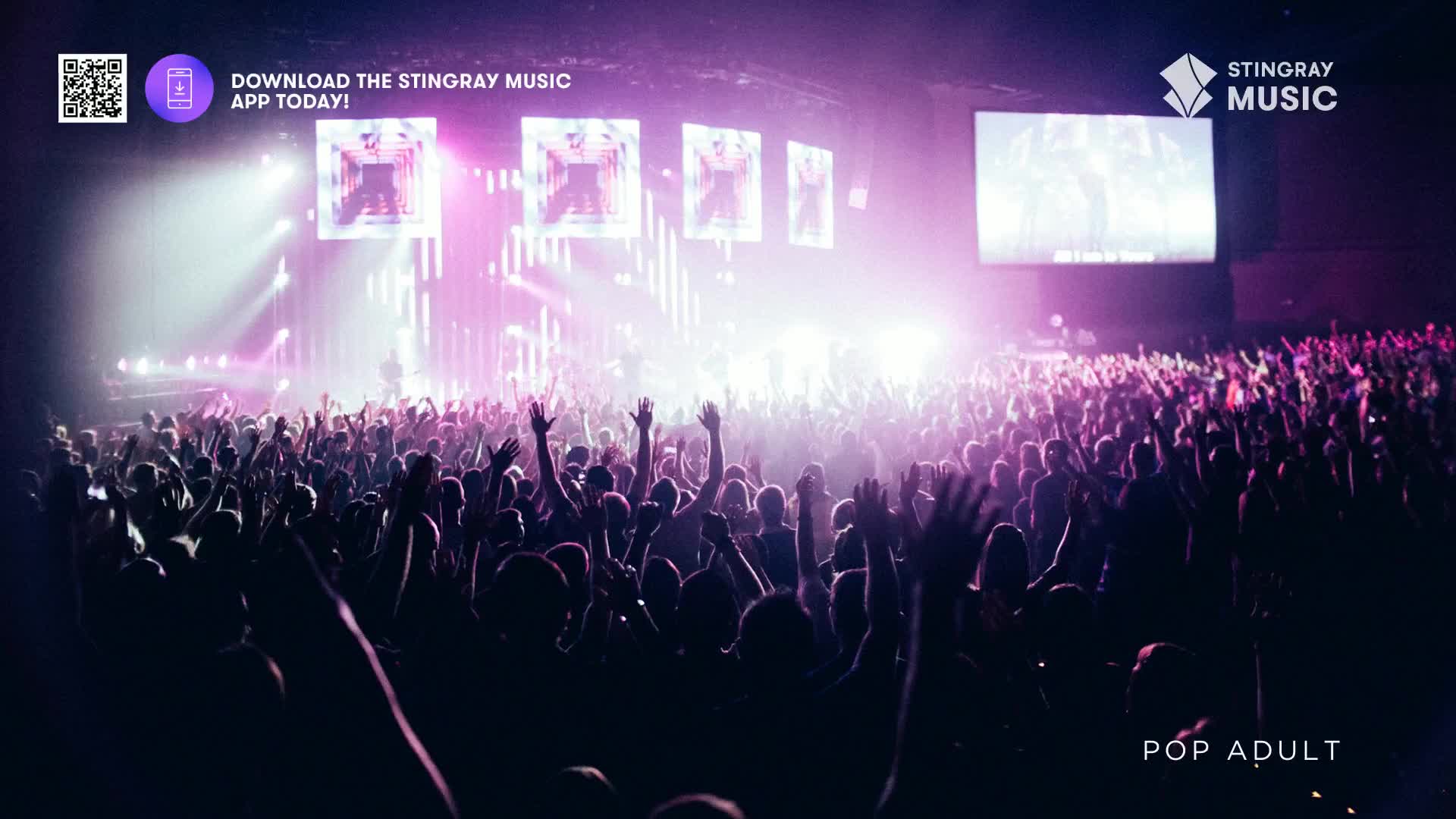 The crowd's arms are raised, illuminated by the stage lights, as if reaching for the music. The Stingray Pop Adult concert in Canada is in full swing, with the energy palpable.
The crowd's arms are raised, illuminated by the stage lights, as if reaching for the music. The Stingray Pop Adult concert in Canada is in full swing, with the energy palpable.