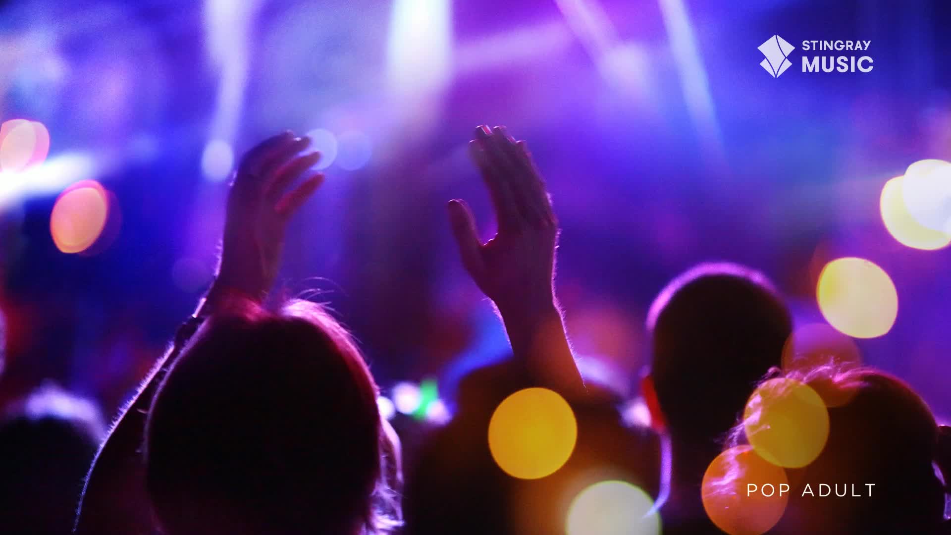 Hands are raised in the air, clapping along to the music. The stage lights cast a vibrant purple glow over the excited crowd.