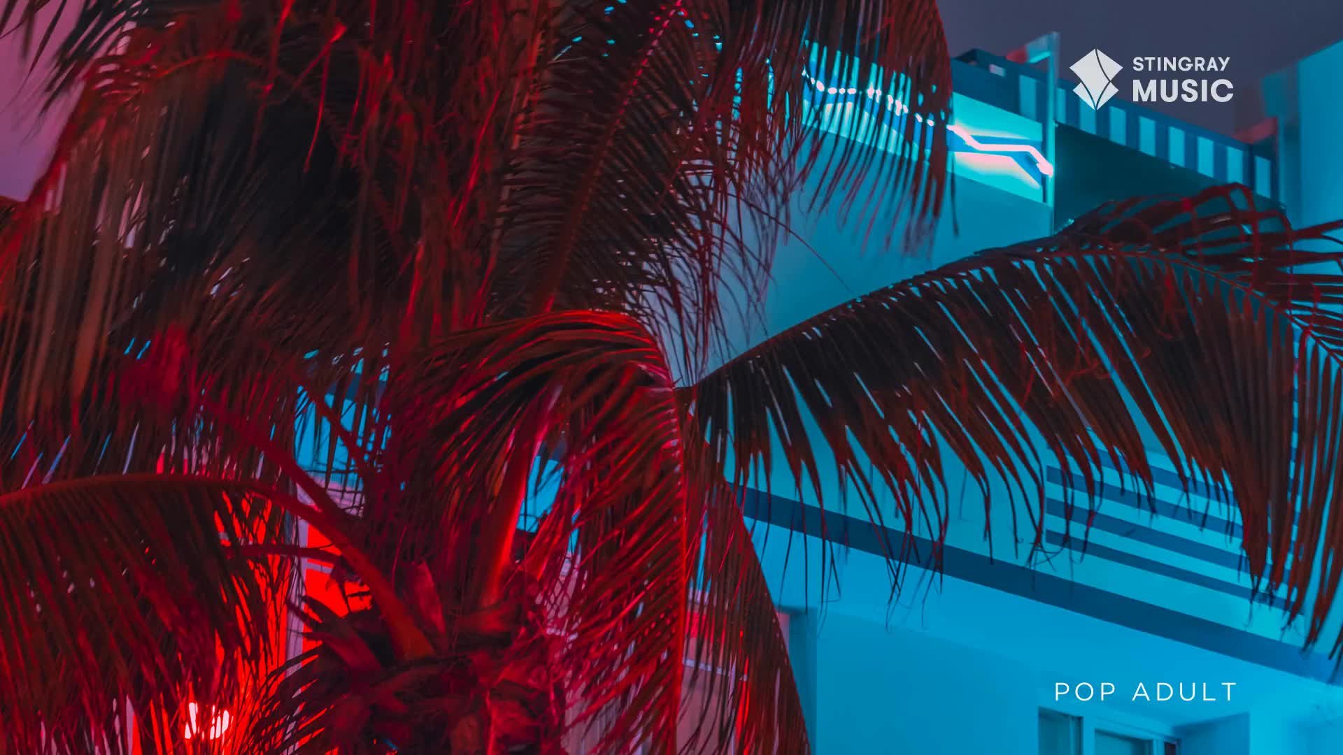 Palm fronds glow red and purple against a building lit with cool blue neon. The Stingray Music logo and "Pop Adult" are visible on the right.
