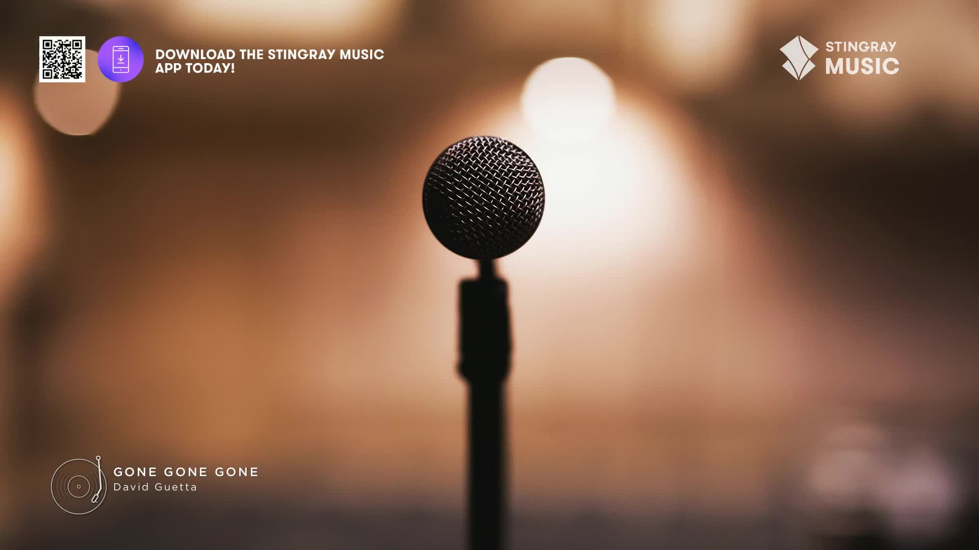 A microphone stands center stage, bathed in warm, diffused light. The Stingray Music logo is visible in the upper right corner.