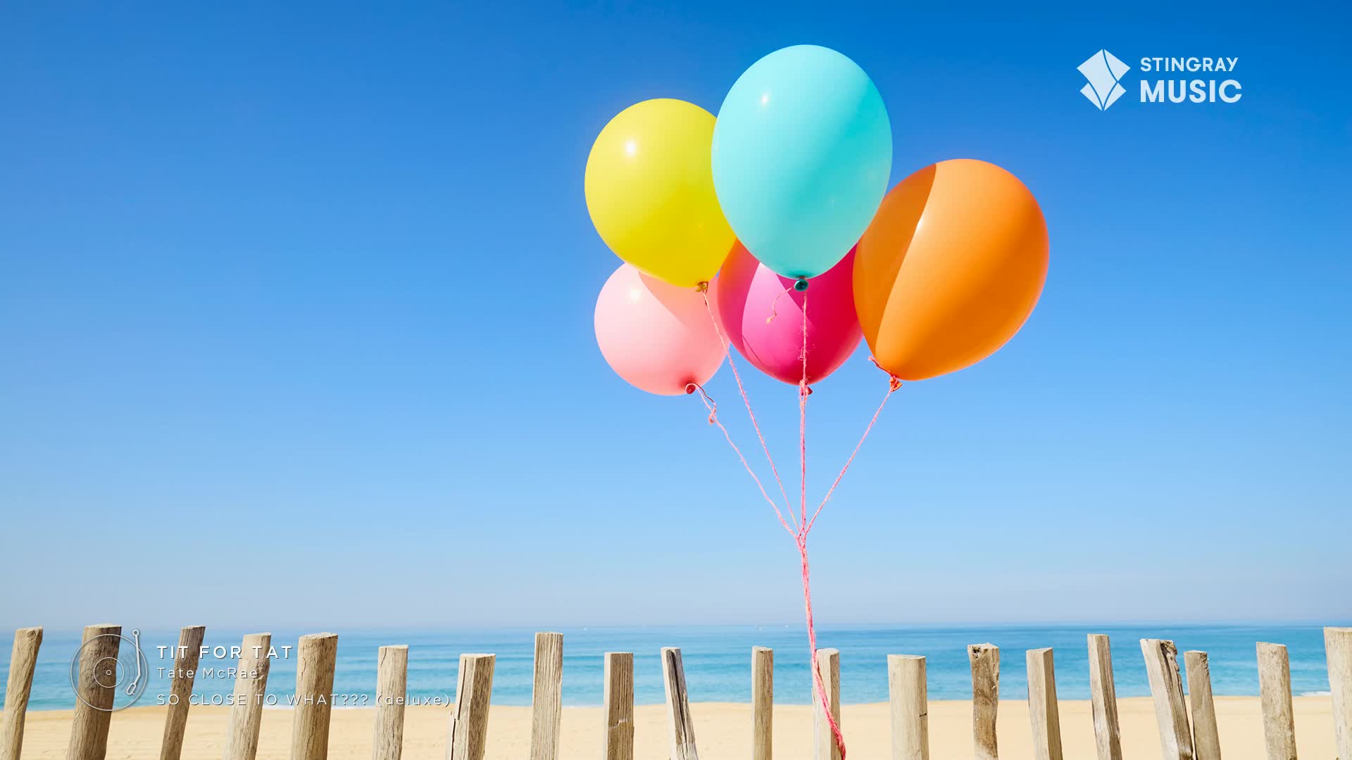 A cluster of bright balloons bobs against the clear blue sky. The gentle breeze lifts them over a sandy beach and the calm ocean.