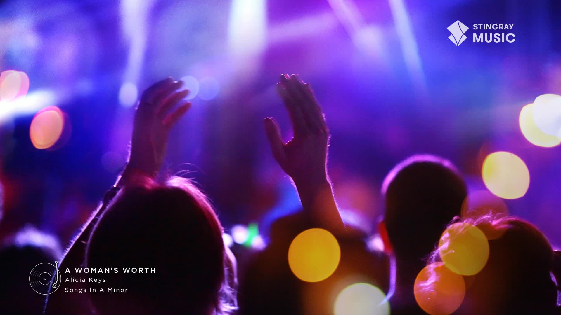 Hands are raised in the air, bathed in purple stage lights. The crowd is alive with energy, a sea of silhouettes against the vibrant glow. Hands are raised in the air, bathed in purple stage lights. The crowd is alive with energy, a sea of silhouettes against the vibrant glow.