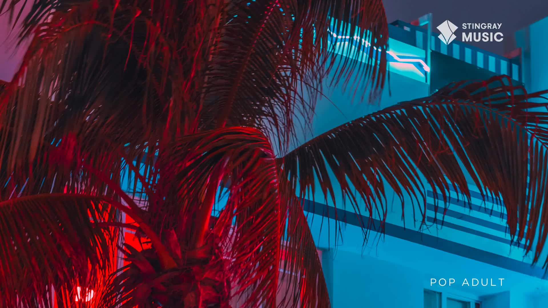 A palm frond, lit in deep red, sways in front of a building glowing with electric blue light. The Stingray Music logo and "POP ADULT" are visible on the building's facade.